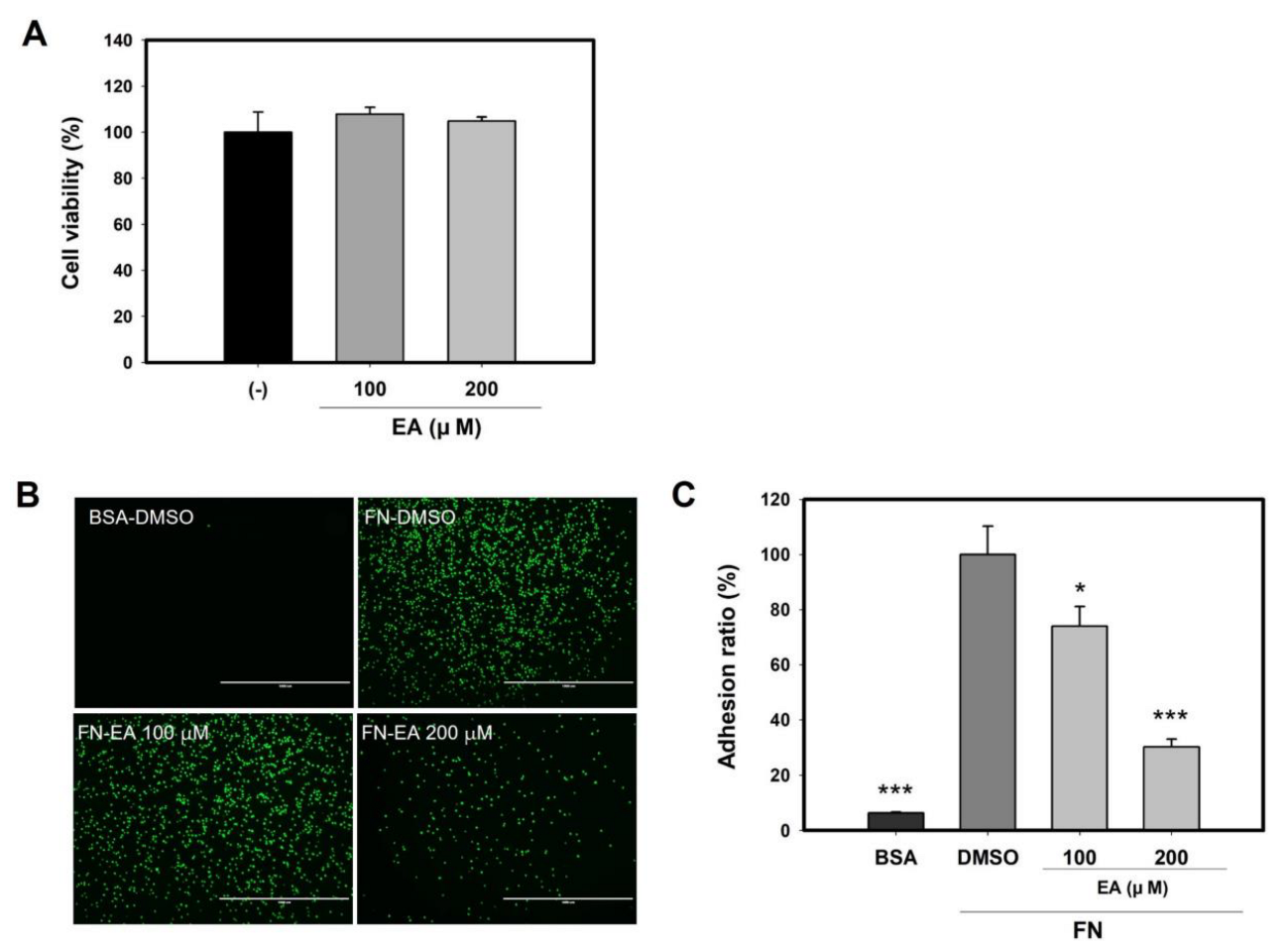 Molecules 27 01274 g008 Molecules 27 01274 g008