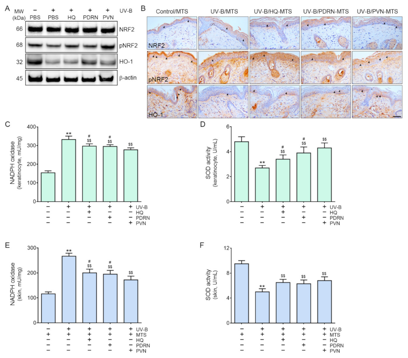 Molecules 27 01276 g001