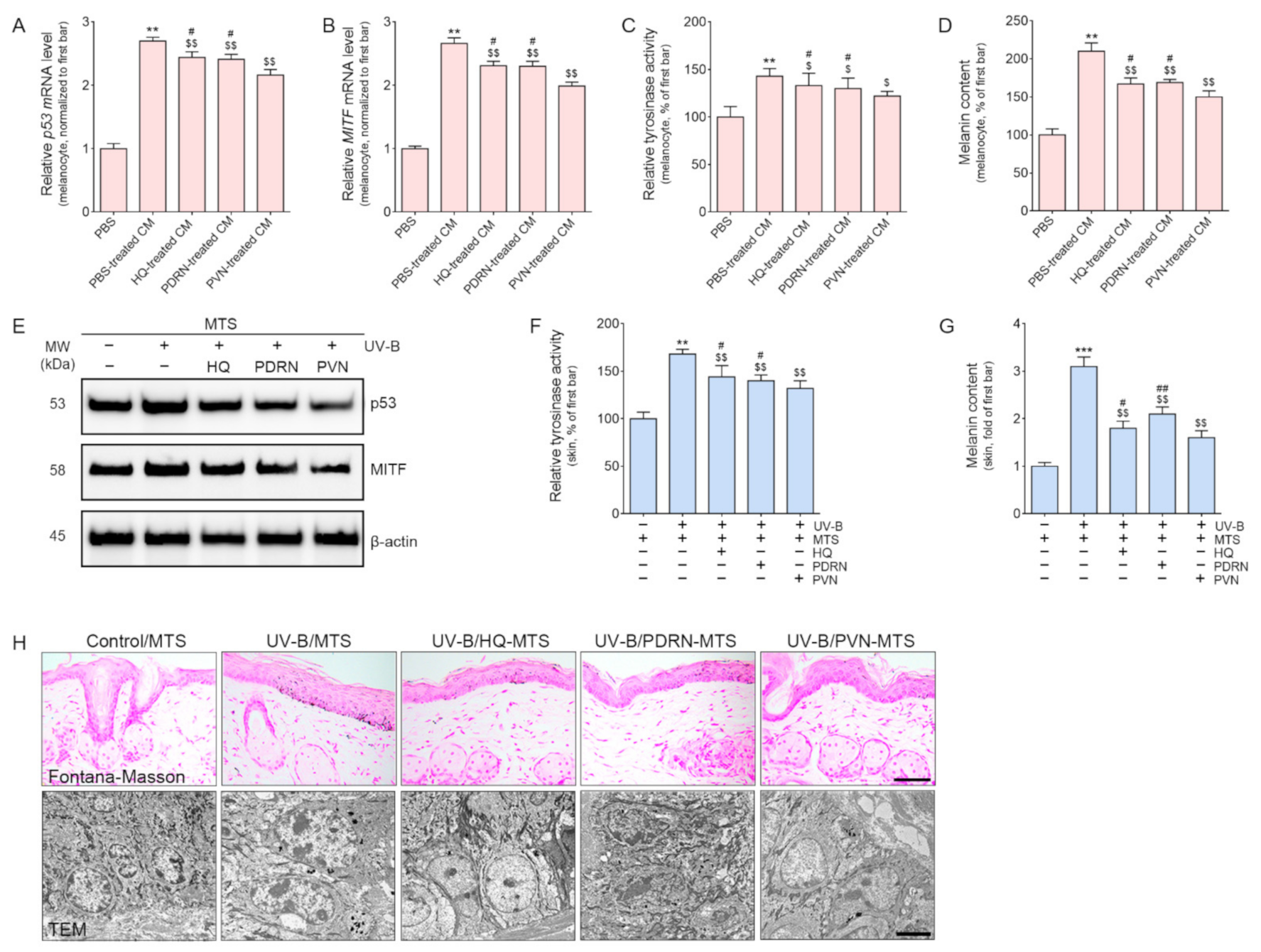 Molecules 27 01276 g002