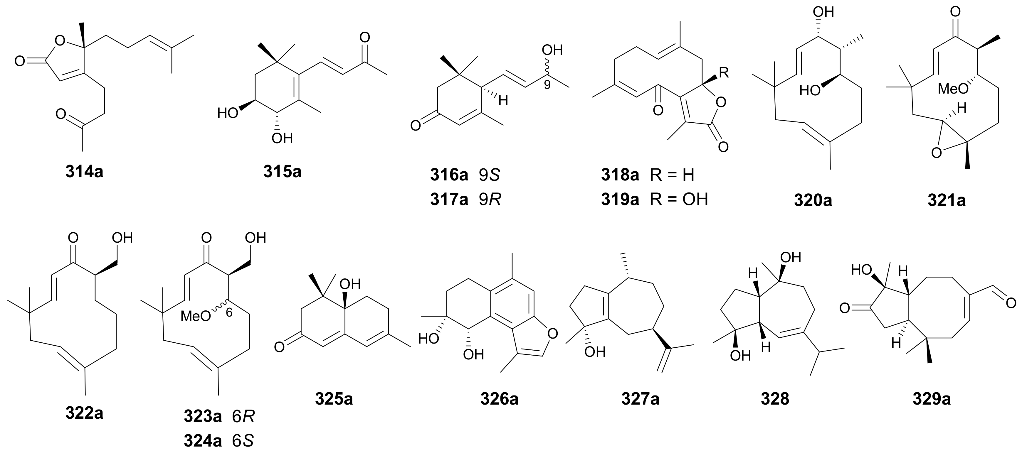 Molecules 27 01279 g018