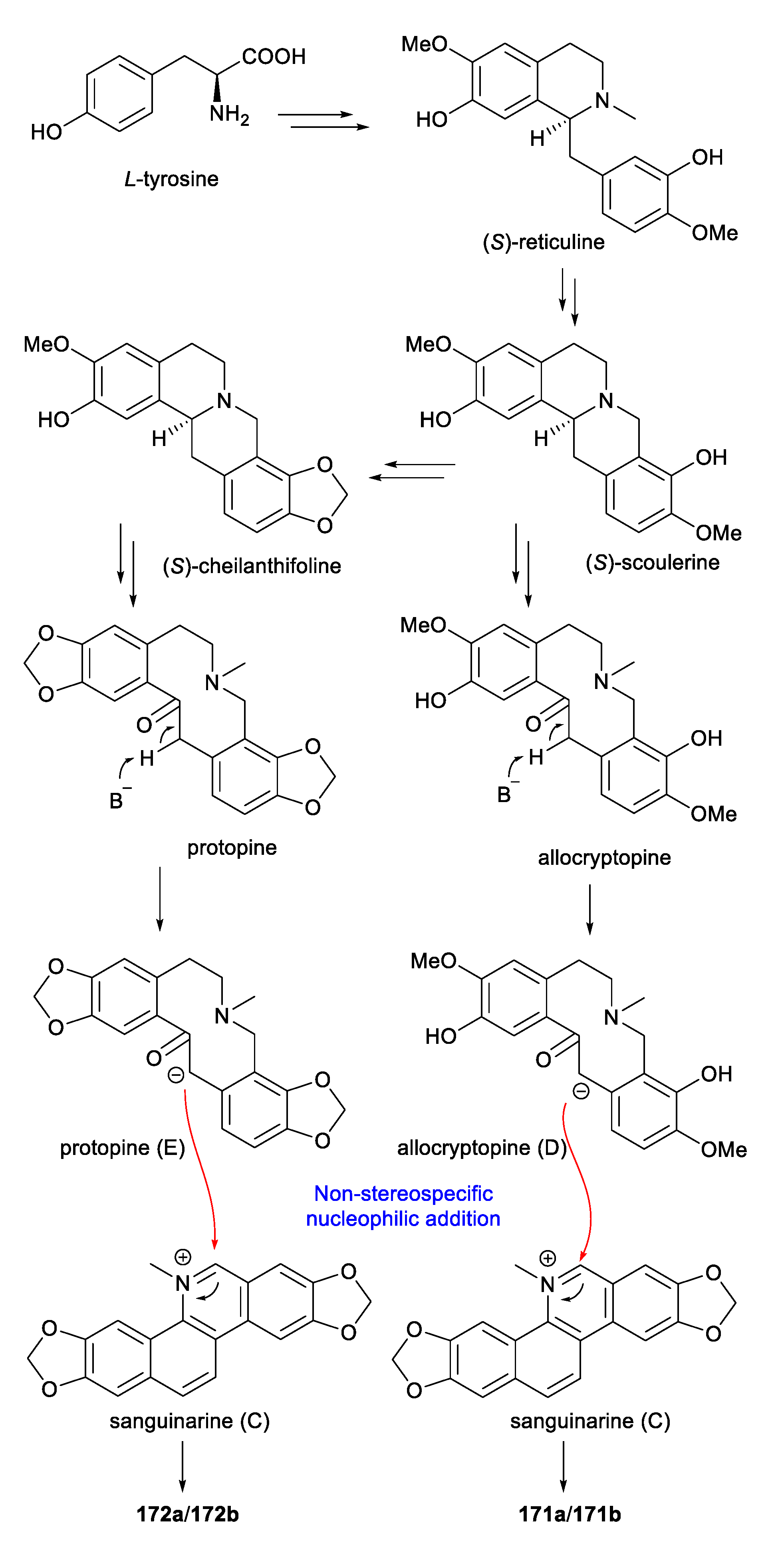 Molecules 27 01279 sch003