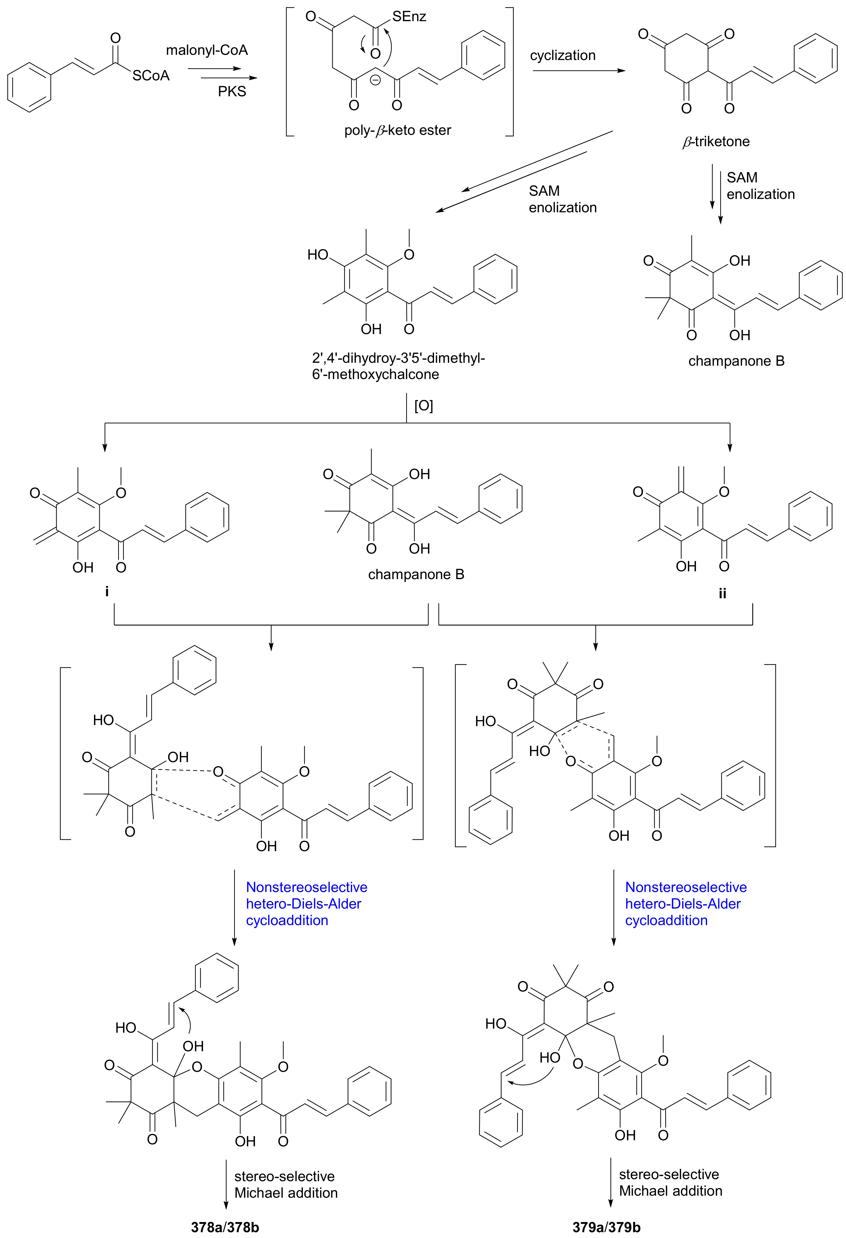 Molecules 27 01279 sch005