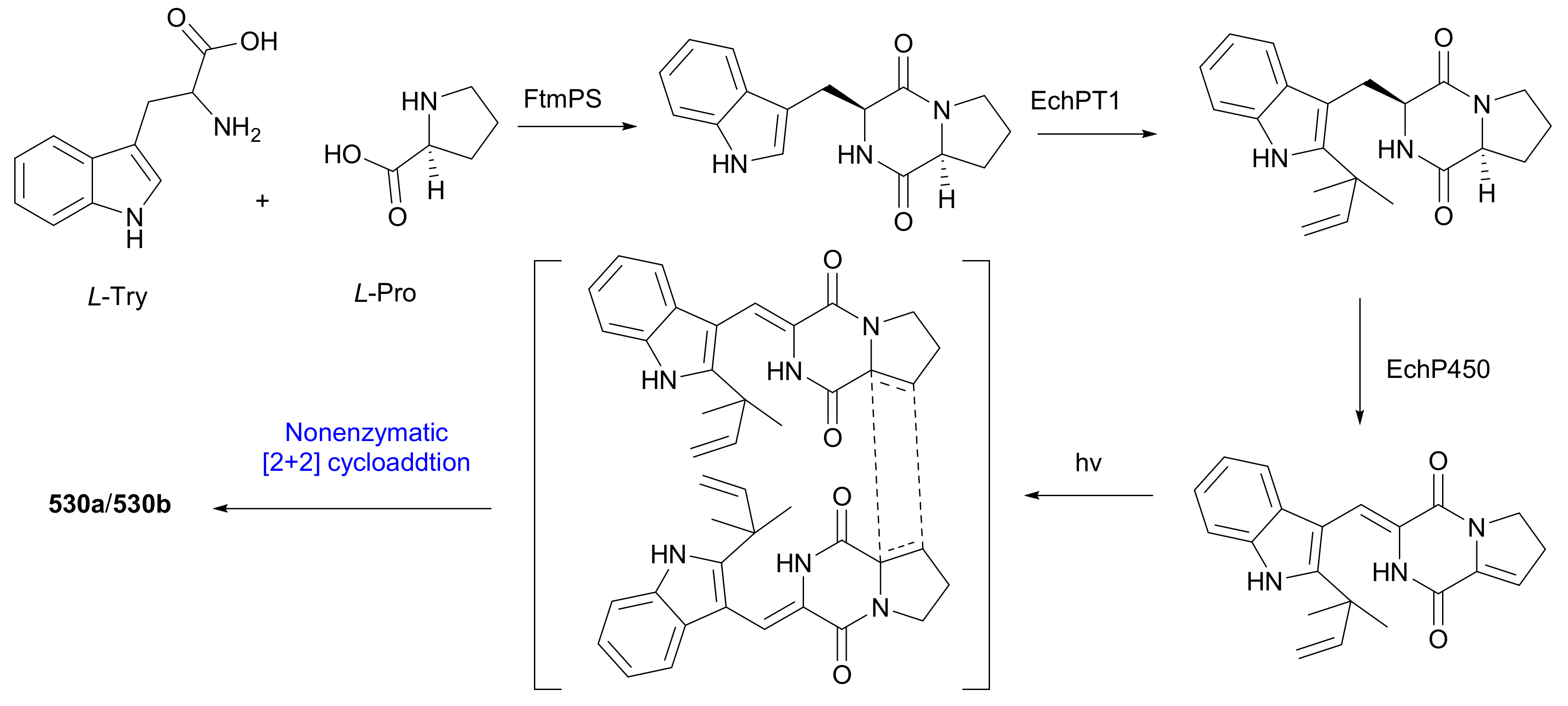Molecules 27 01279 sch010