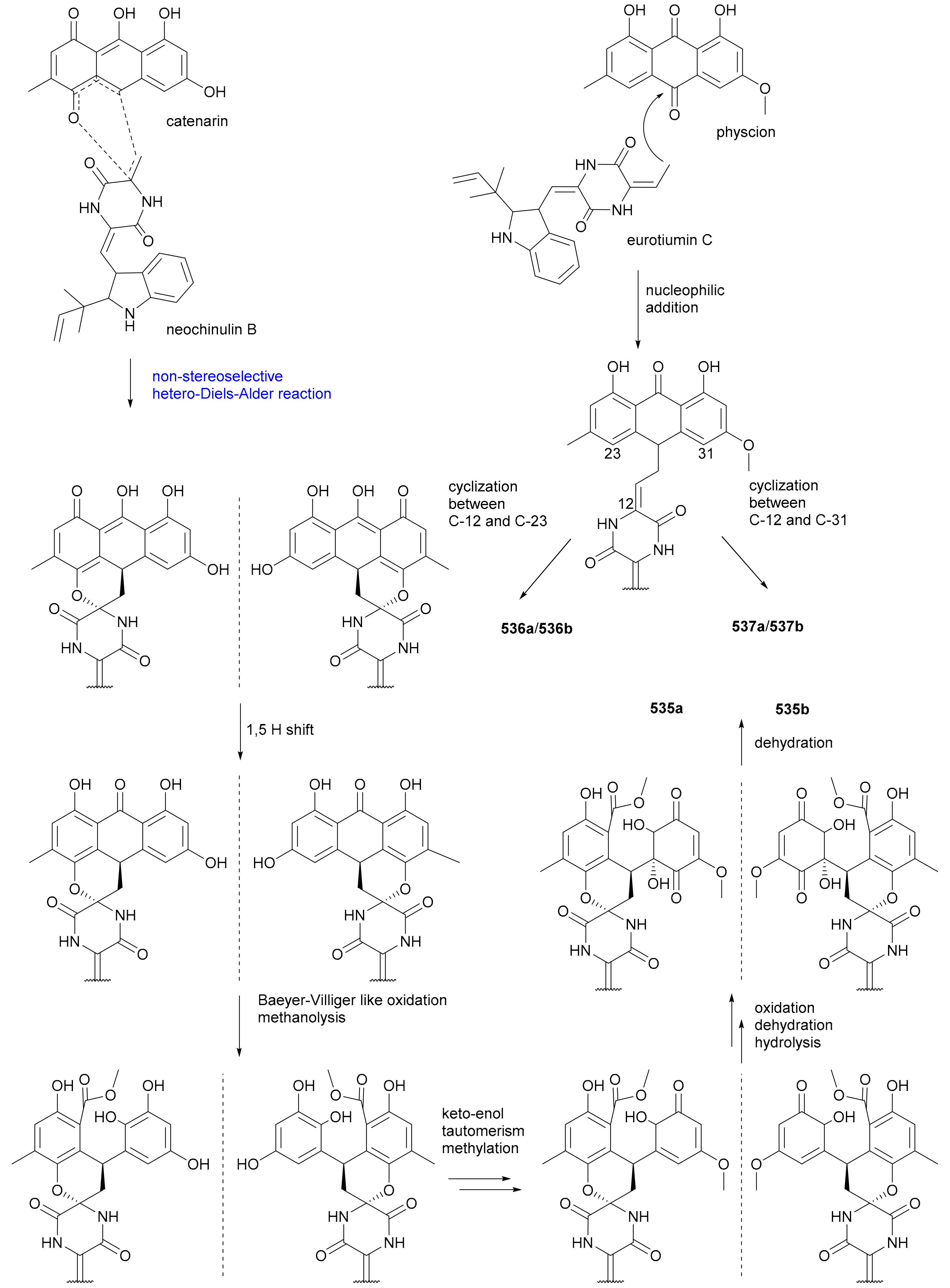 Molecules 27 01279 sch011