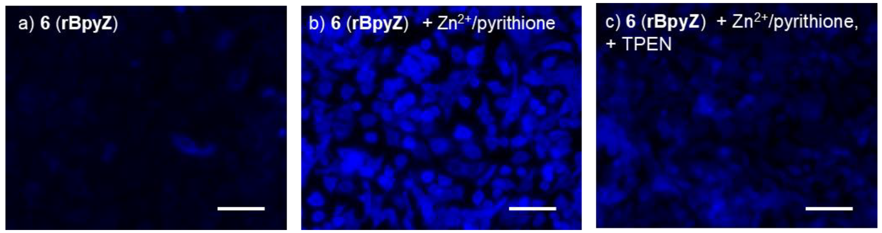 Molecules 27 01287 g008