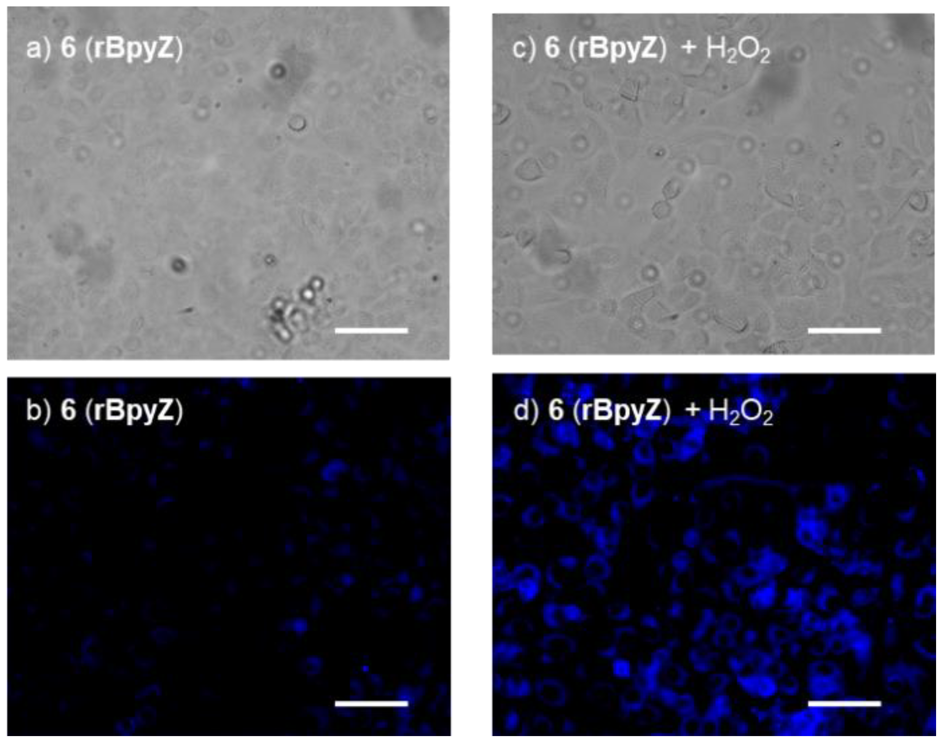 Molecules 27 01287 g009