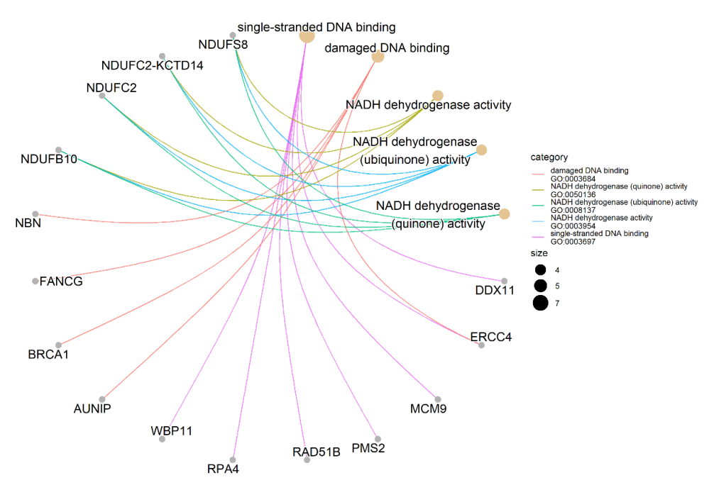 Molecules 27 01289 g002