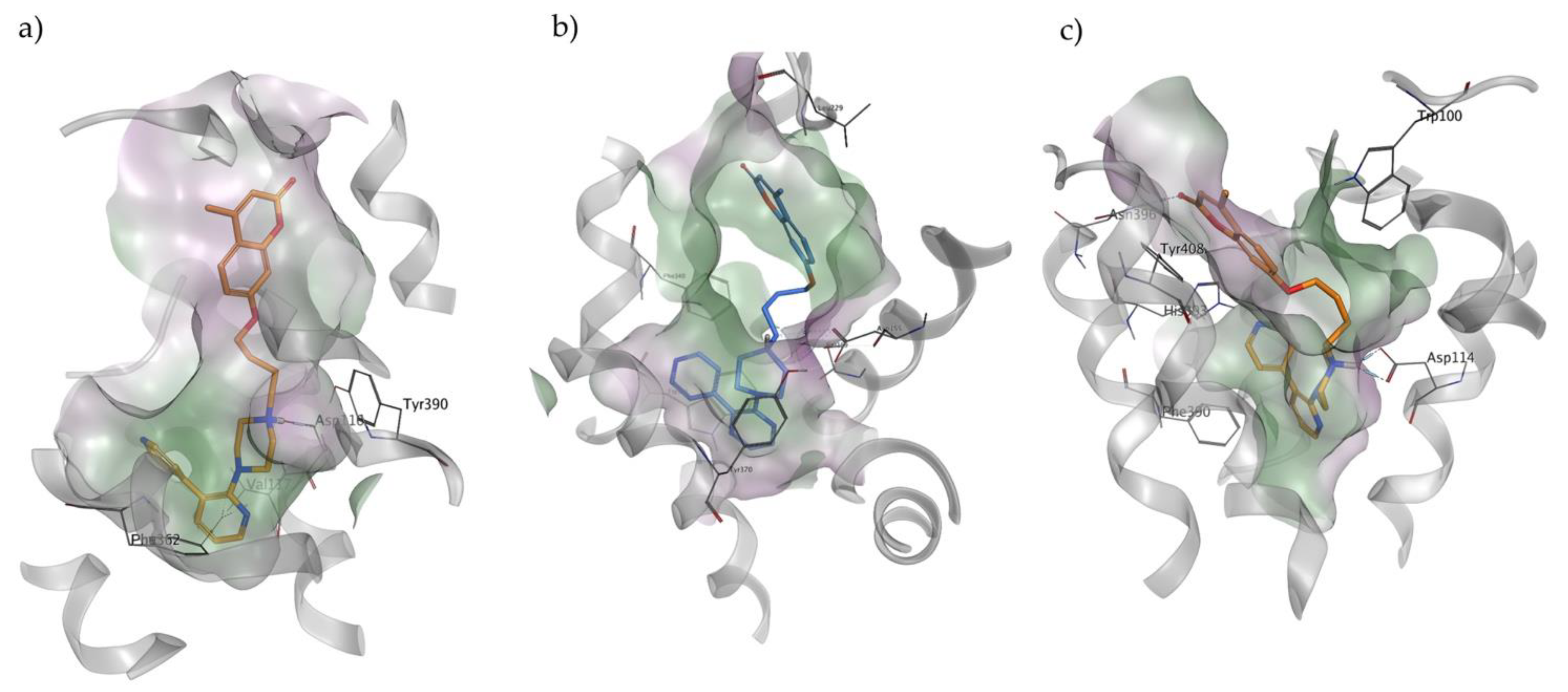 Molecules 27 01297 g004