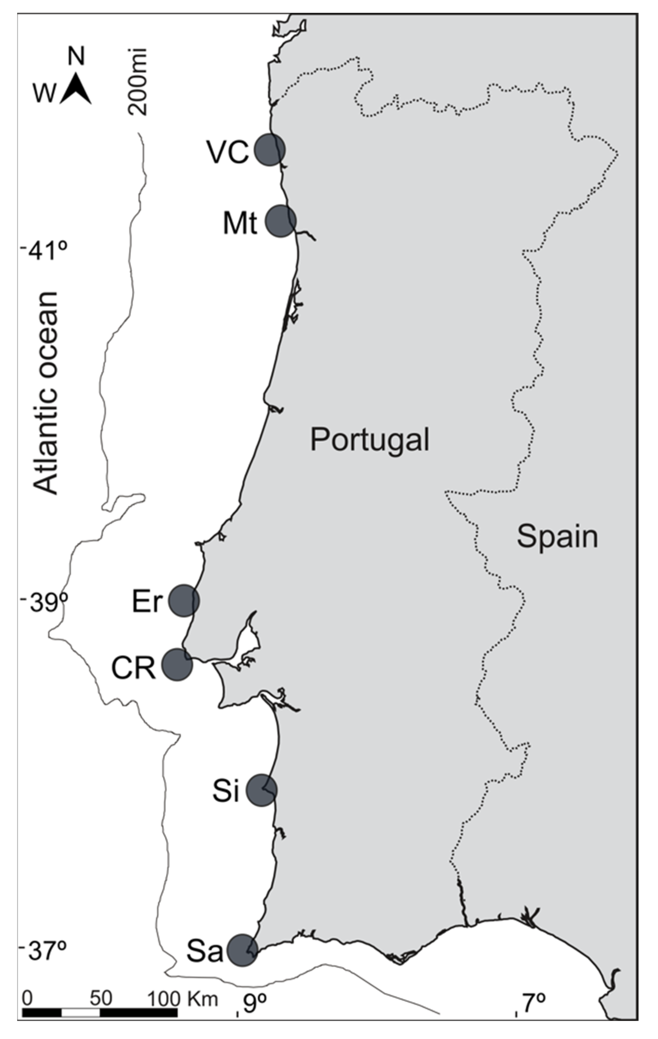 Molecules 27 01298 g006 Molecules 27 01298 g006