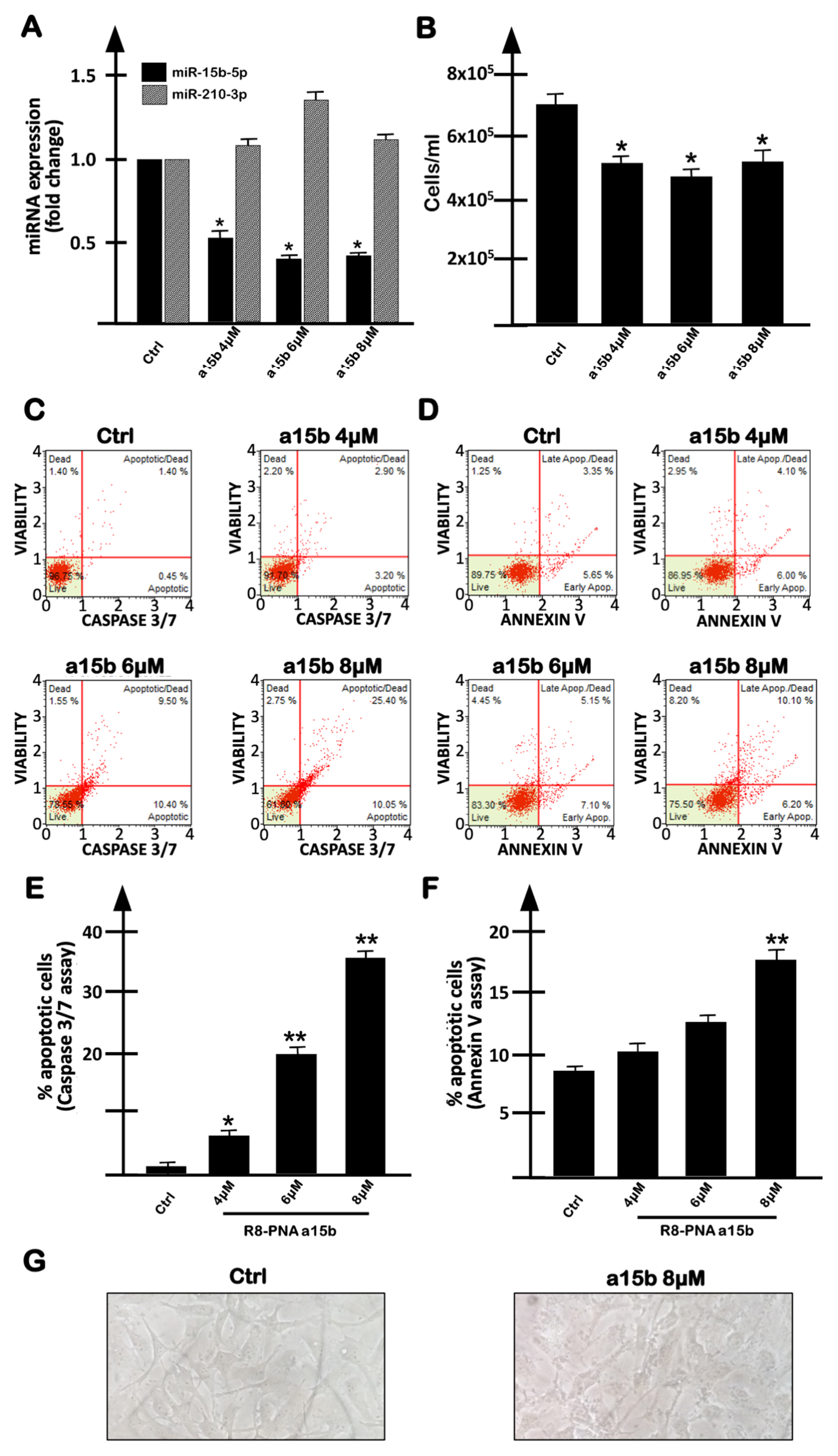 Treatment of Human Glioblastoma U251 Cells with Sulforaphane and a ...
