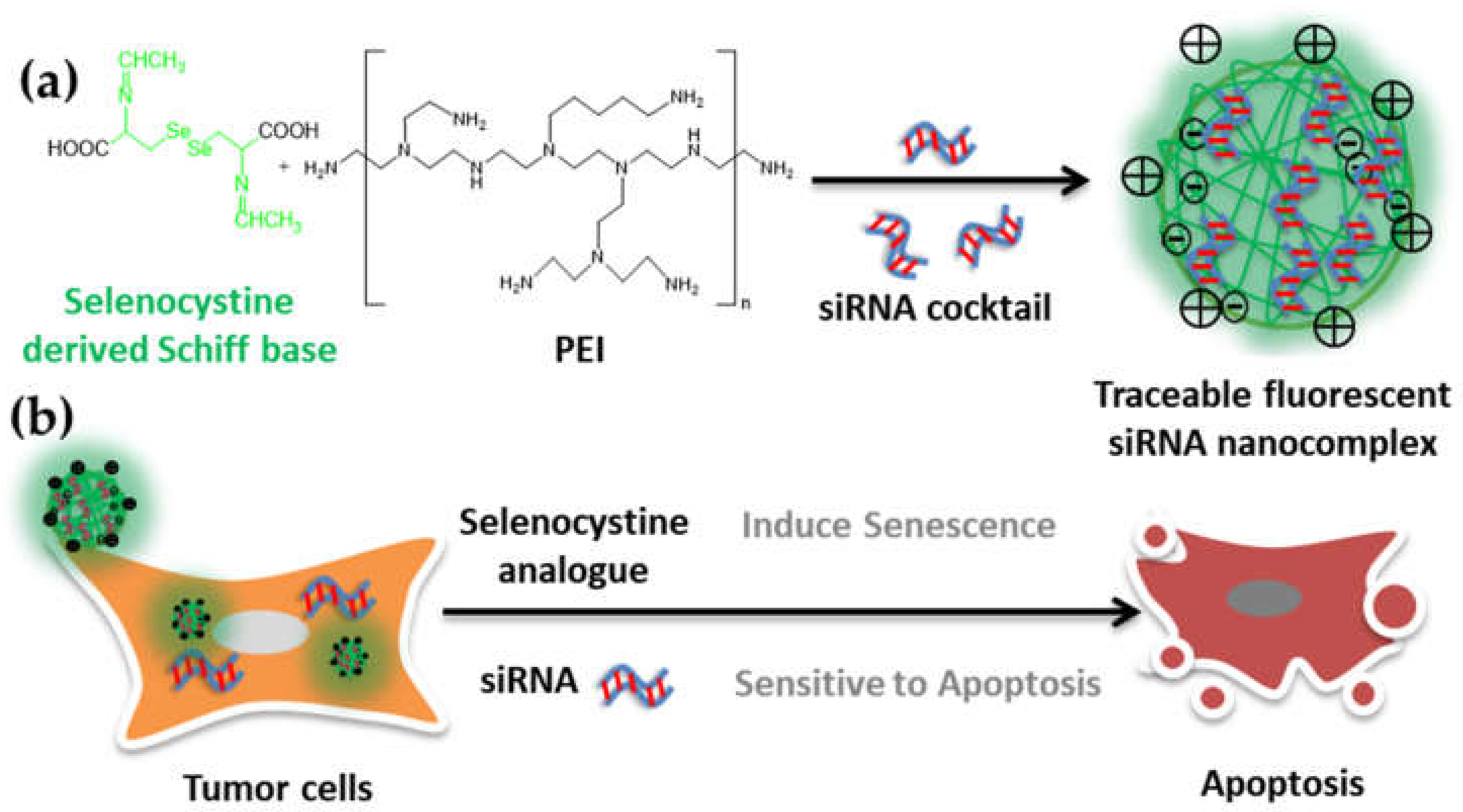 Molecules 27 01302 g001 Molecules 27 01302 g001