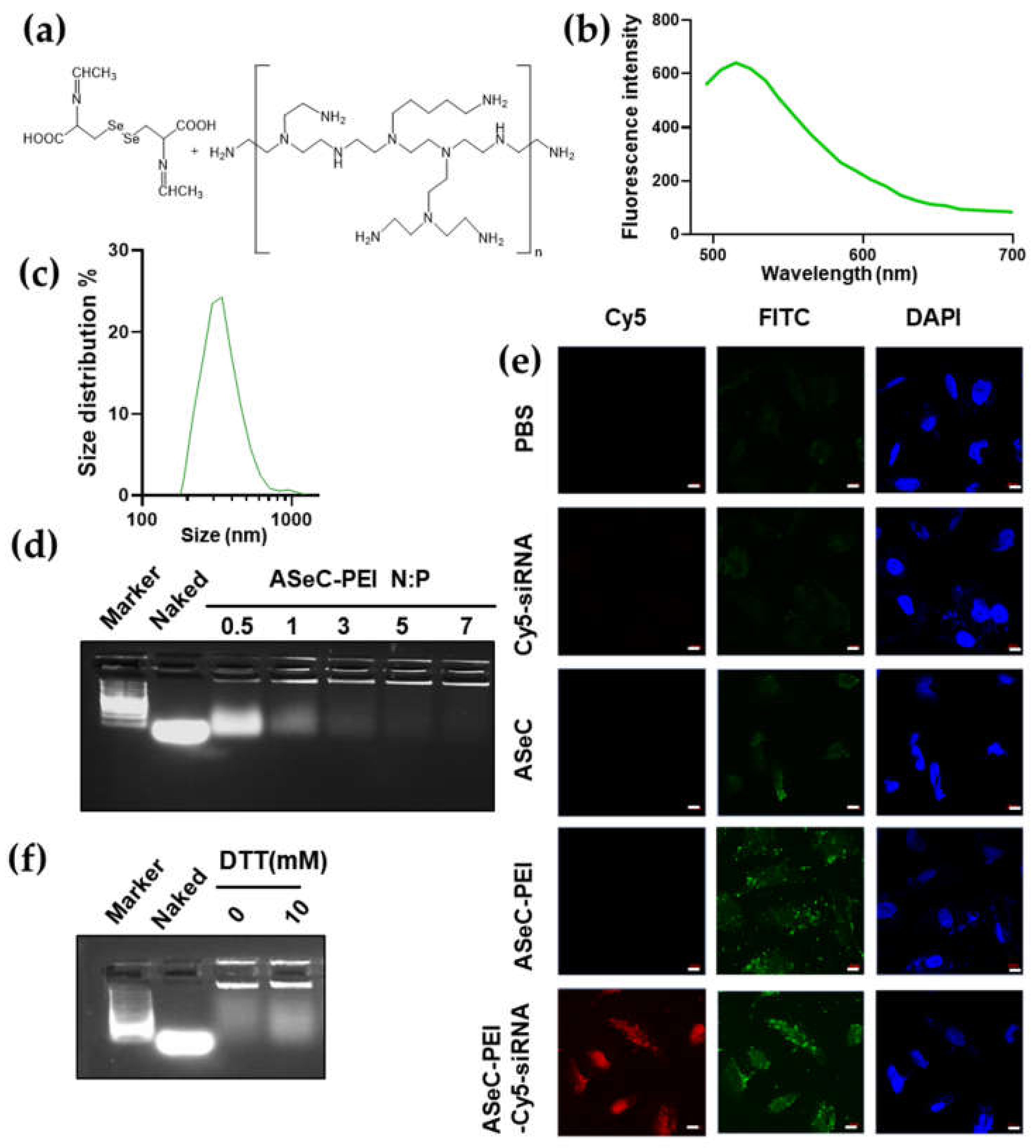 Molecules 27 01302 g004 Molecules 27 01302 g004