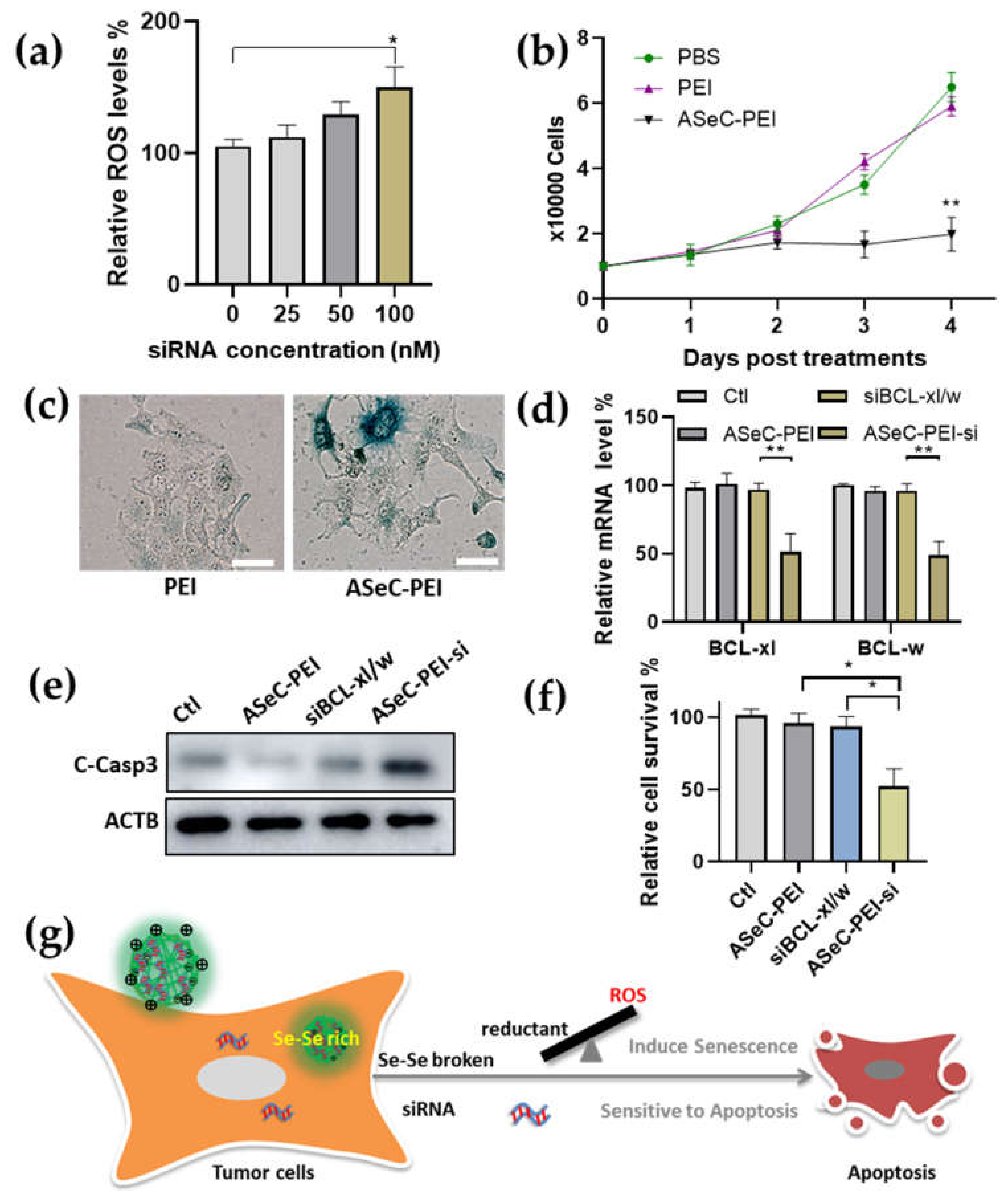 Molecules 27 01302 g005 Molecules 27 01302 g005