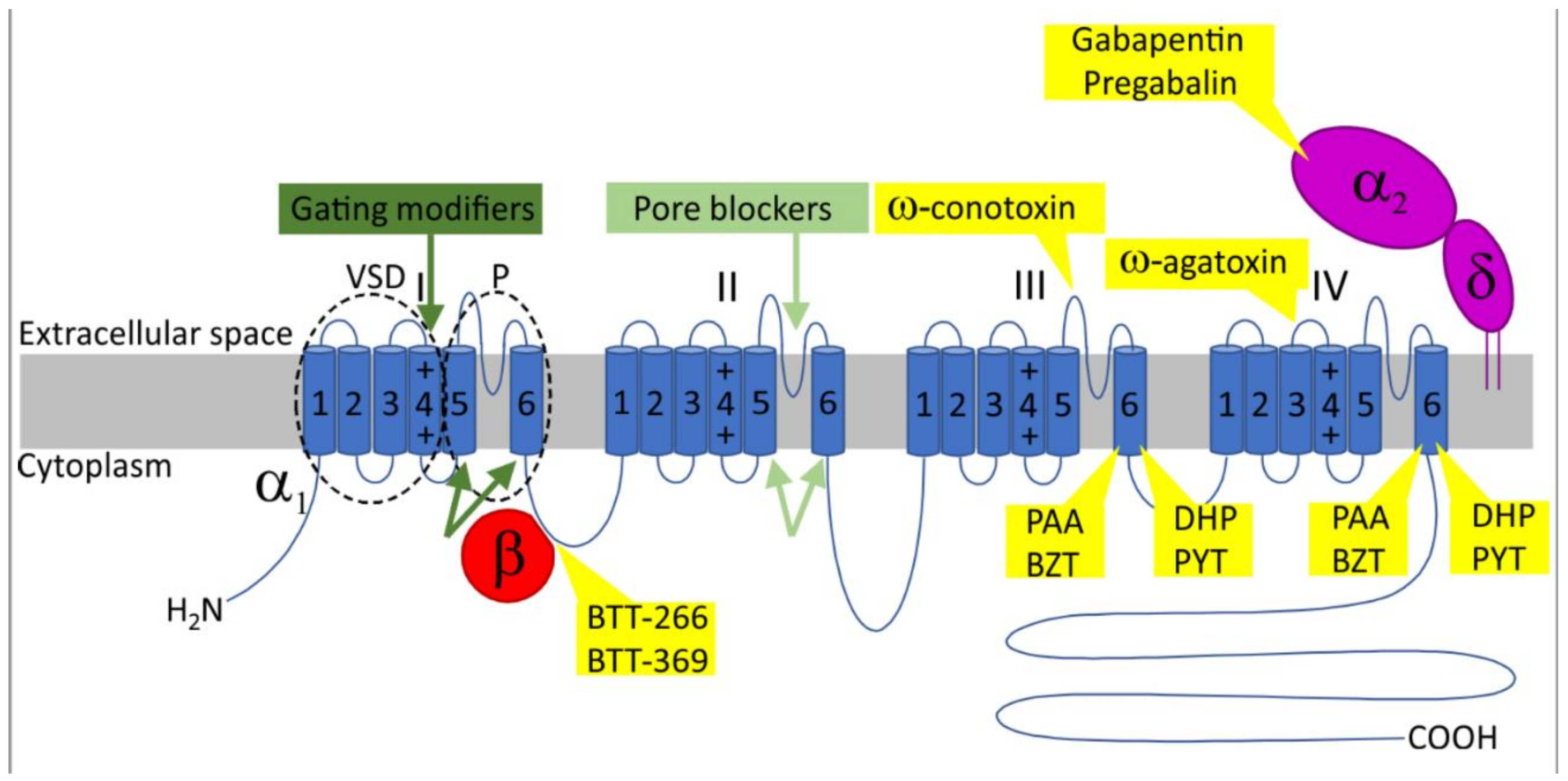 Molecules 27 01312 g001