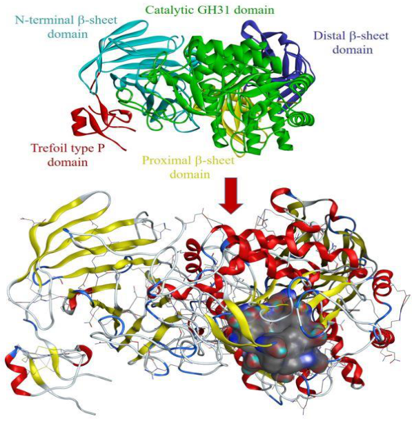 Molecules 27 01322 g003 Molecules 27 01322 g003