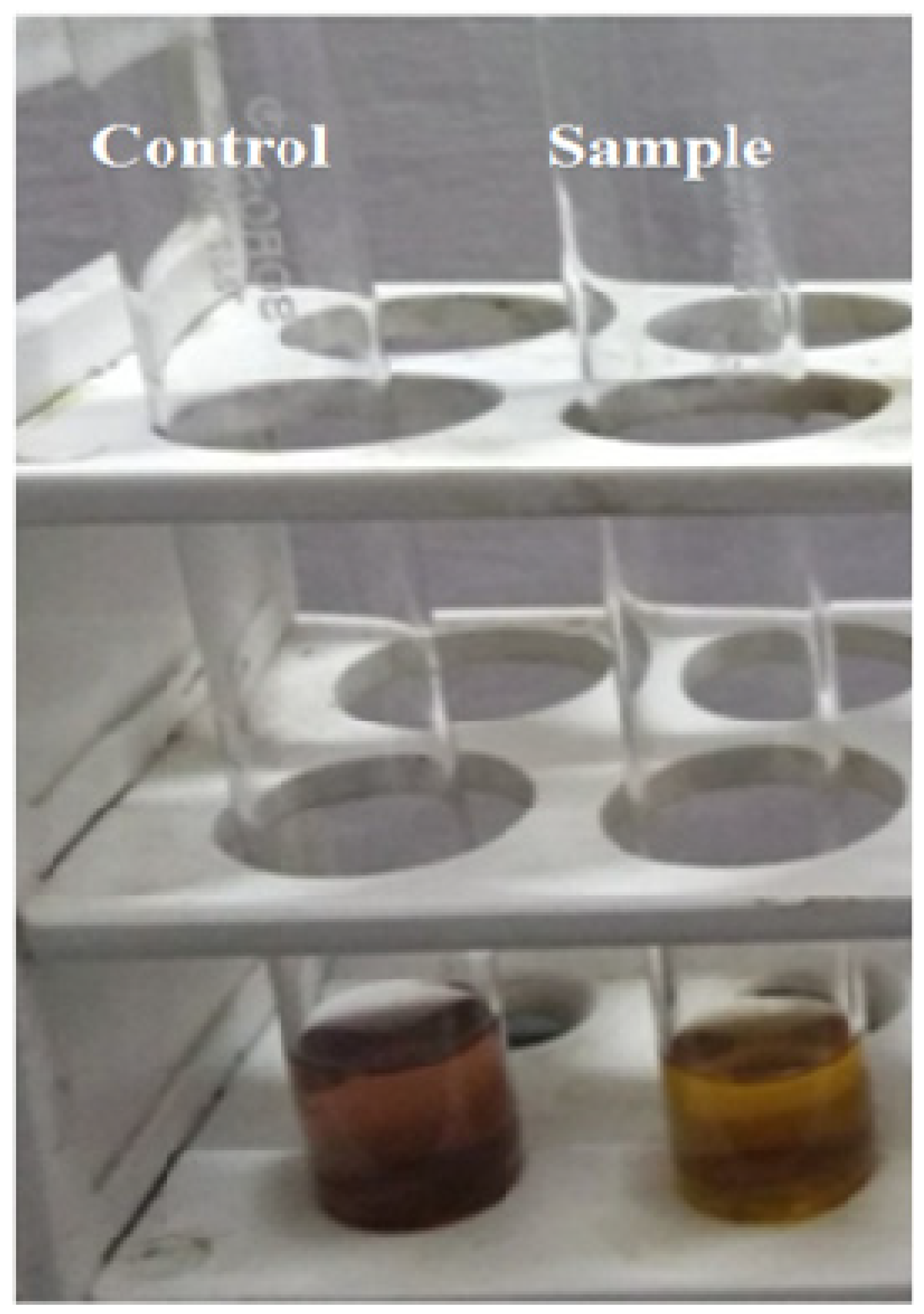 Molecules 27 01326 g002