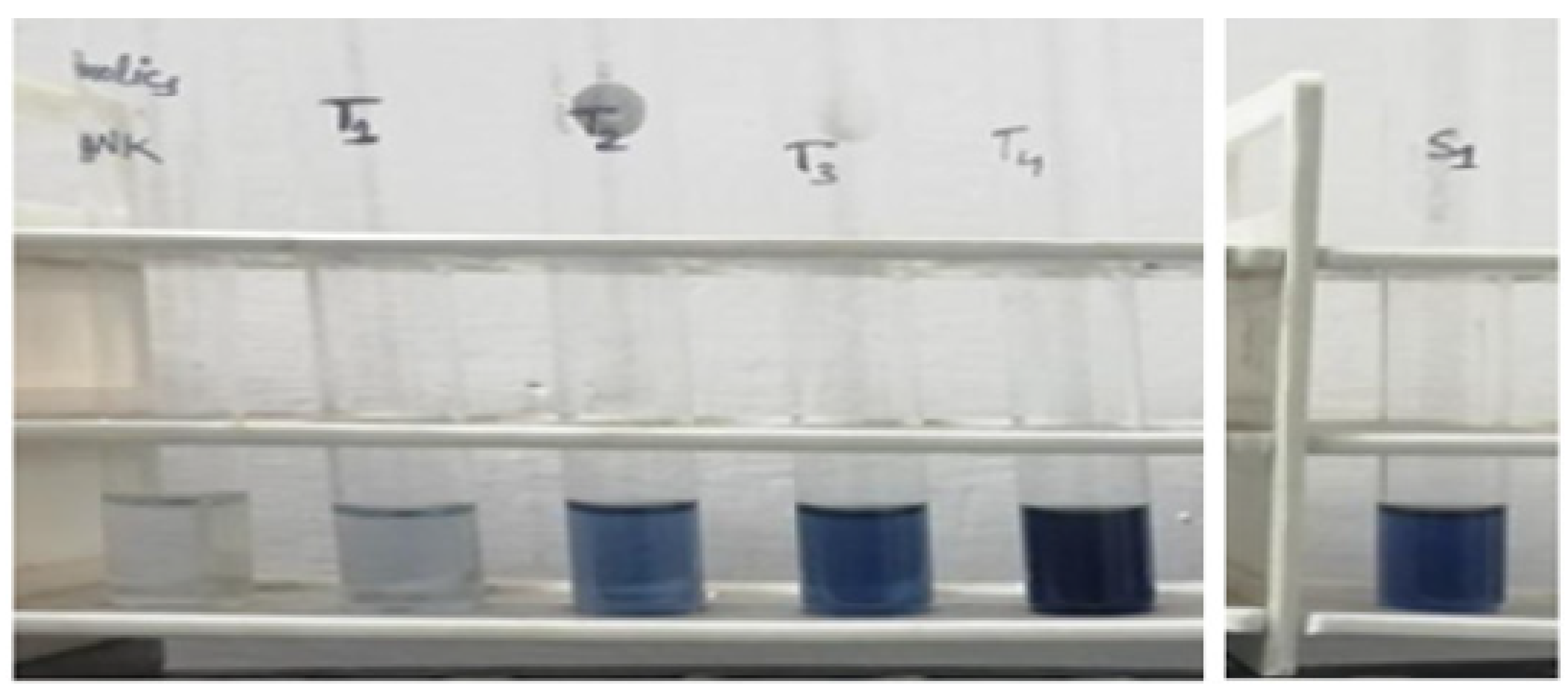 Molecules 27 01326 g005