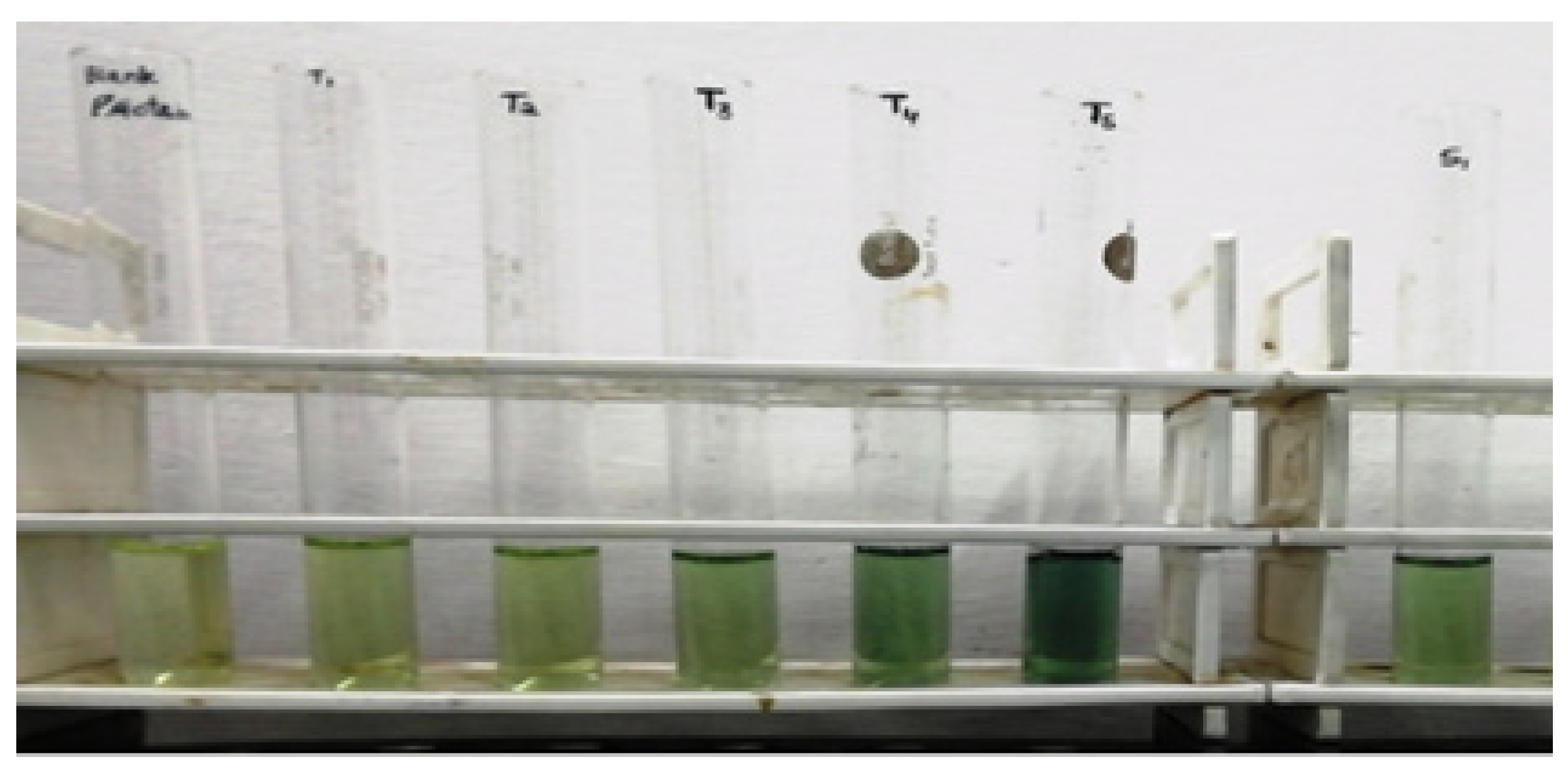 Molecules 27 01326 g008