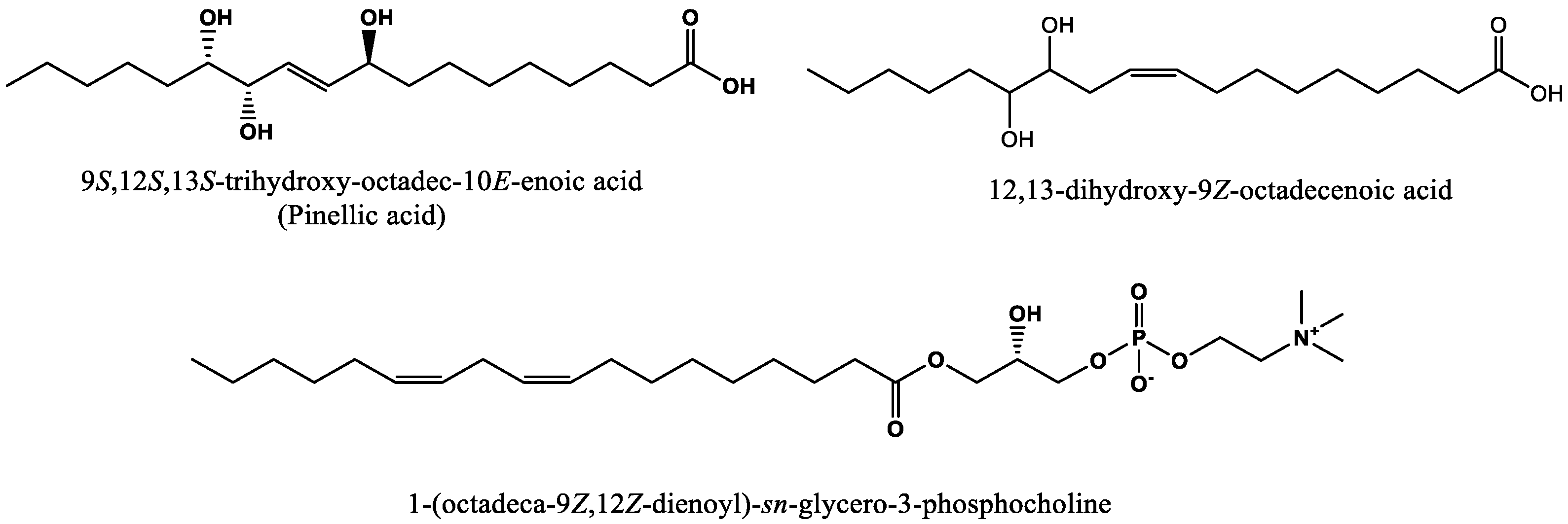 Molecules 27 01331 g004