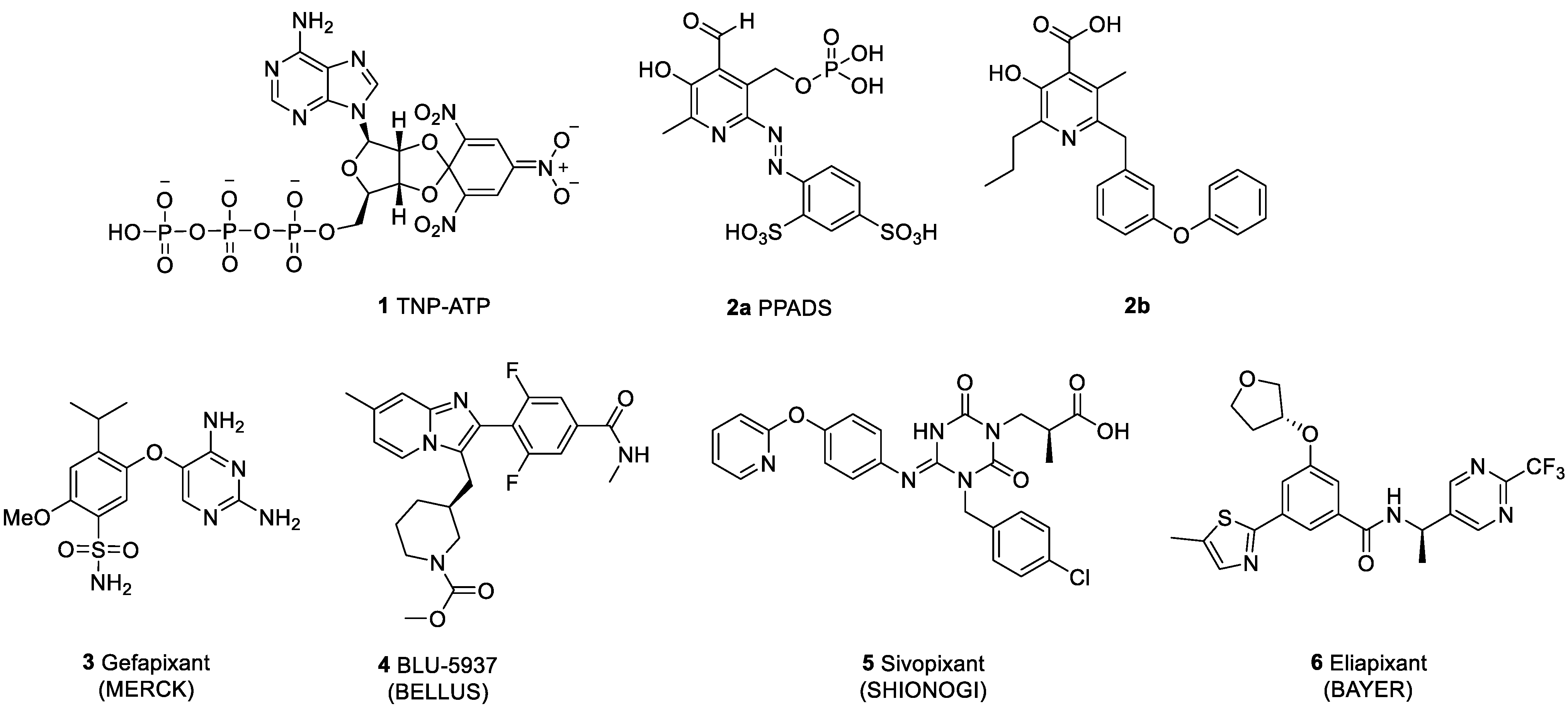 Molecules 27 01337 g001