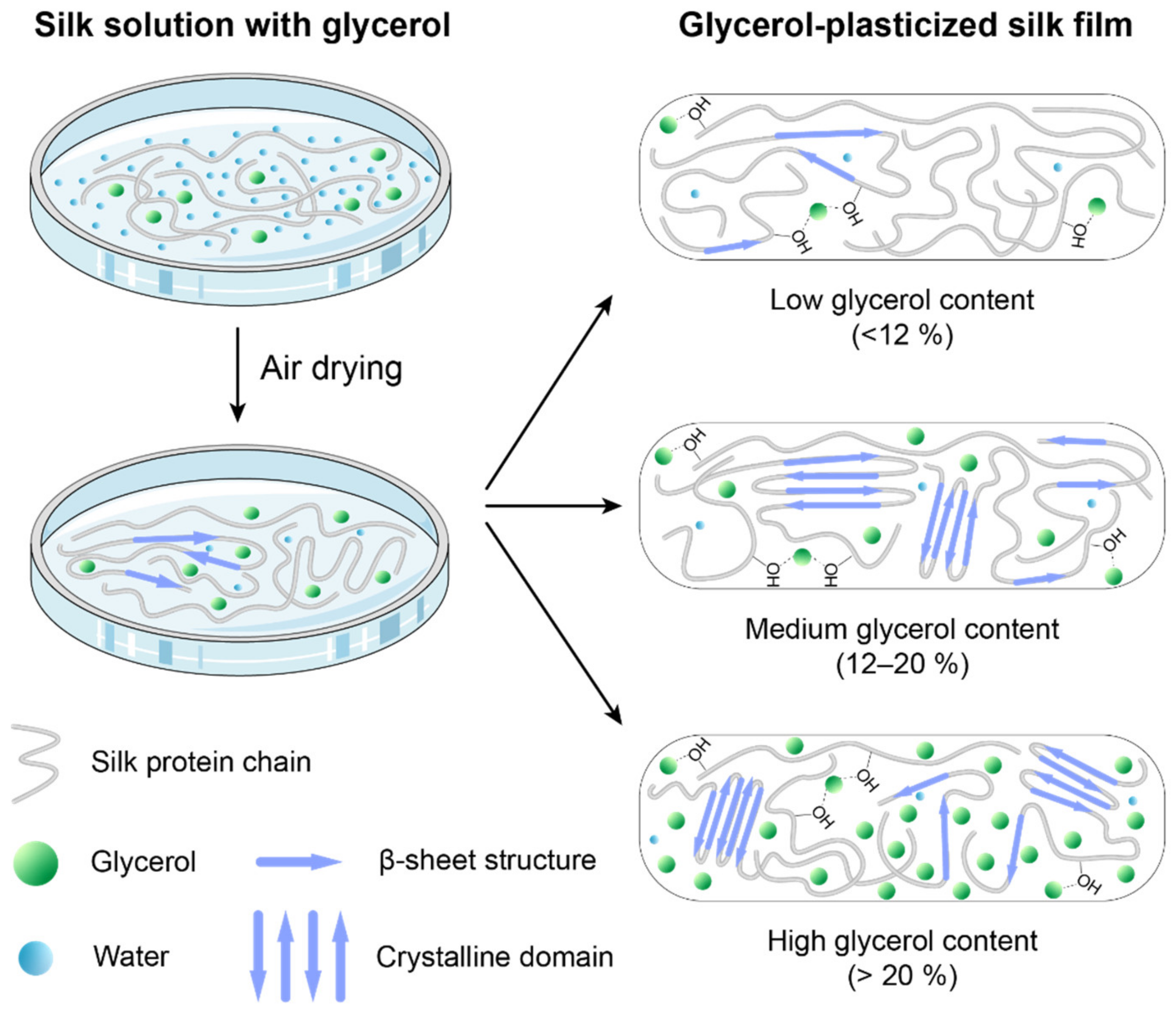 Molecules 27 01339 g006