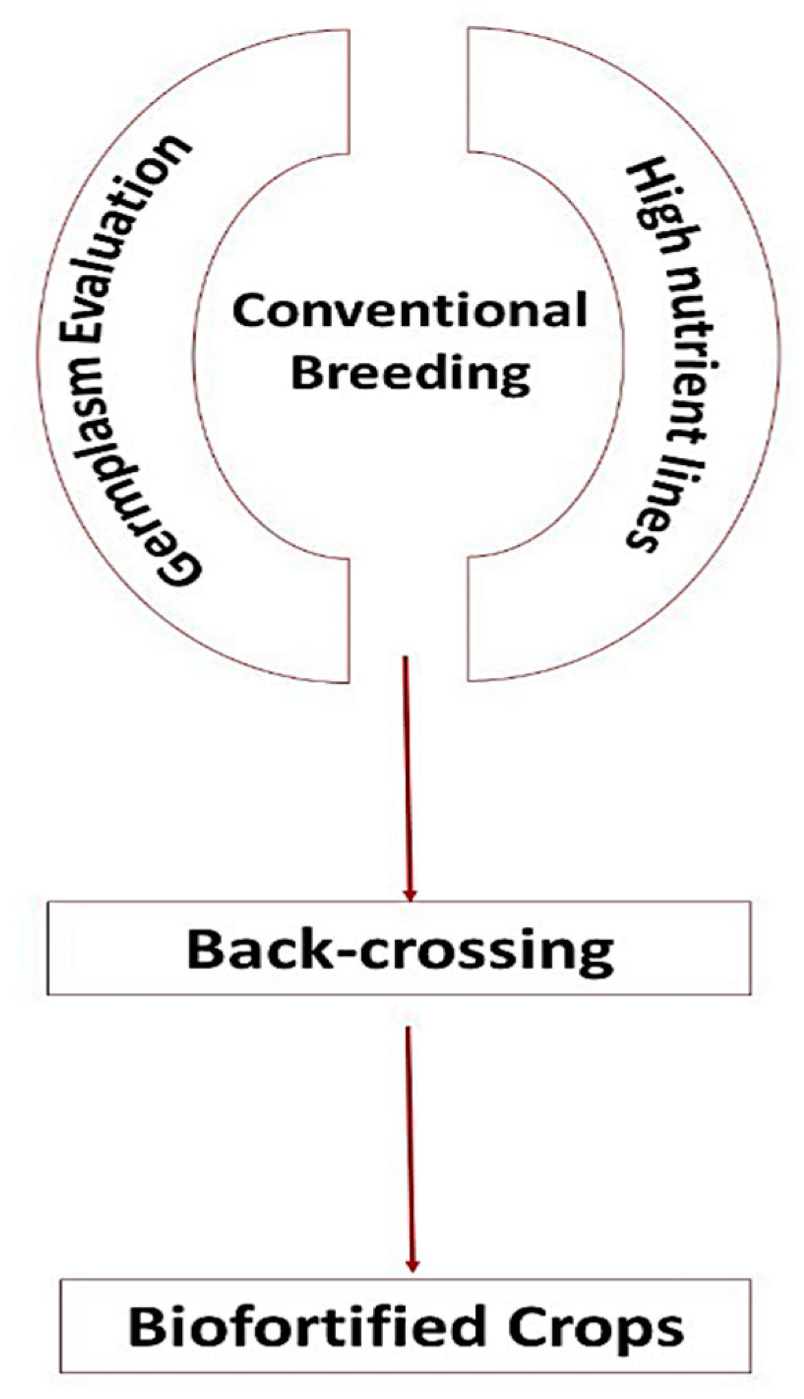 Molecules 27 01340 g005