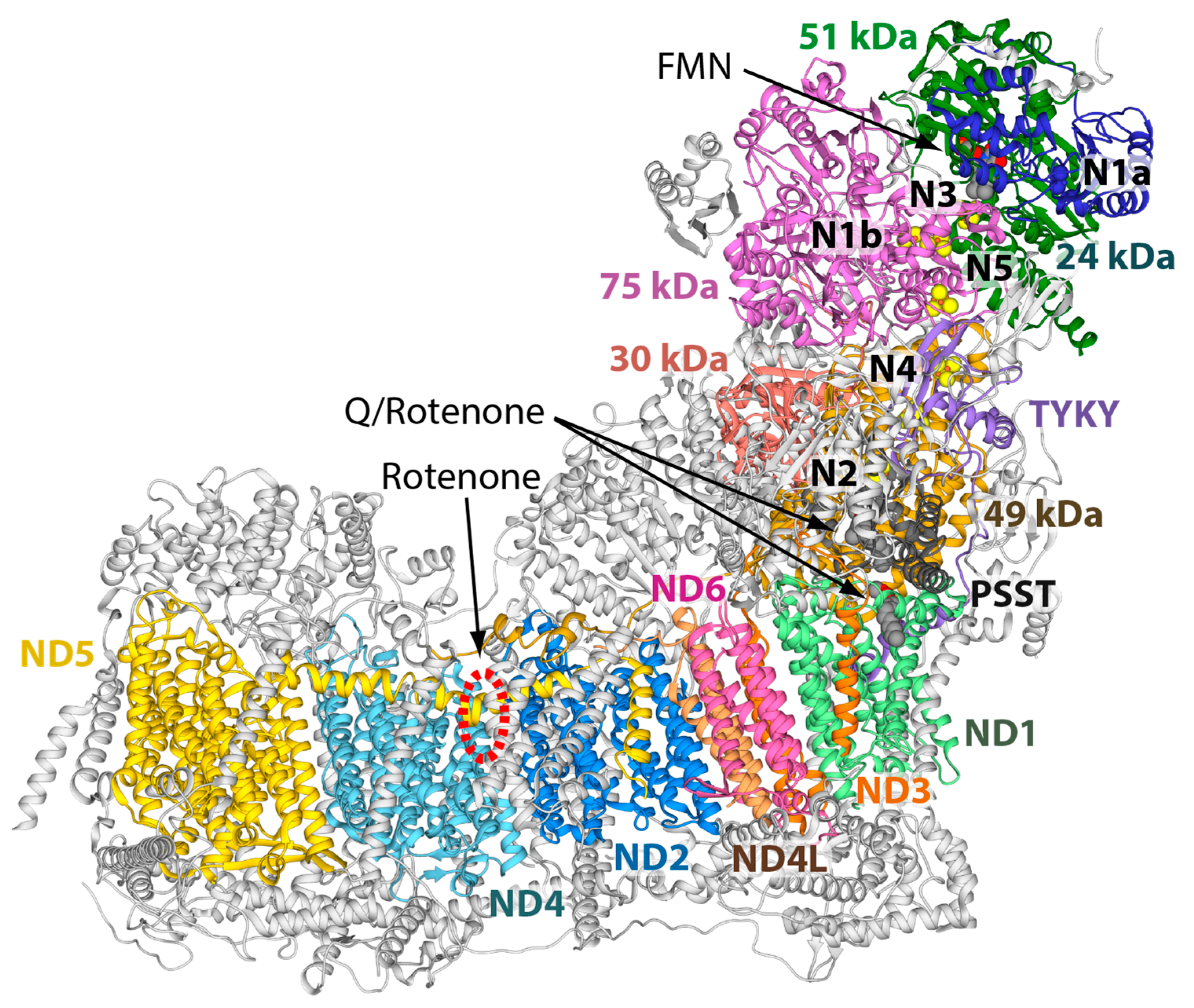 Molecules 27 01341 g001