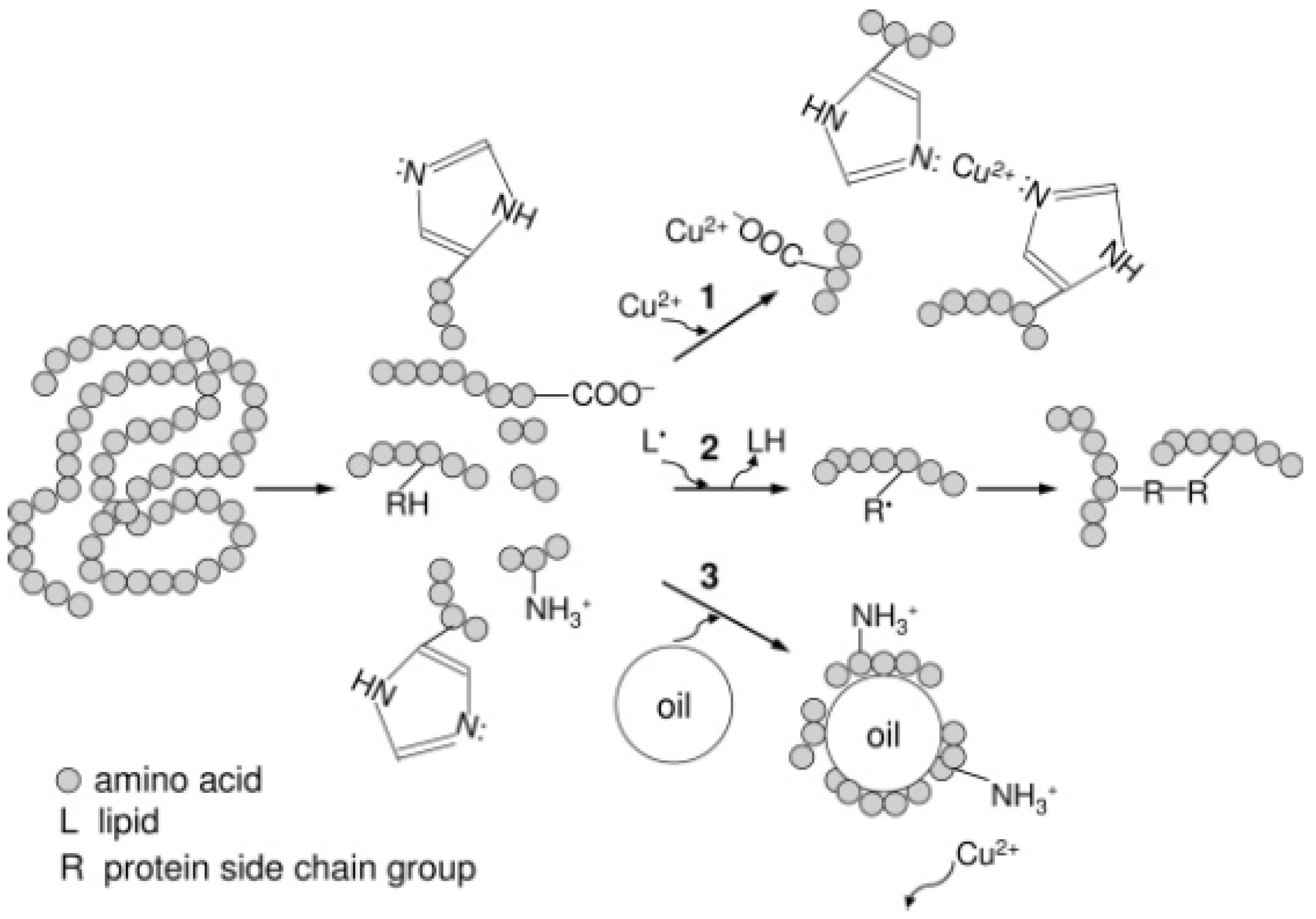 Molecules 27 01343 g002
