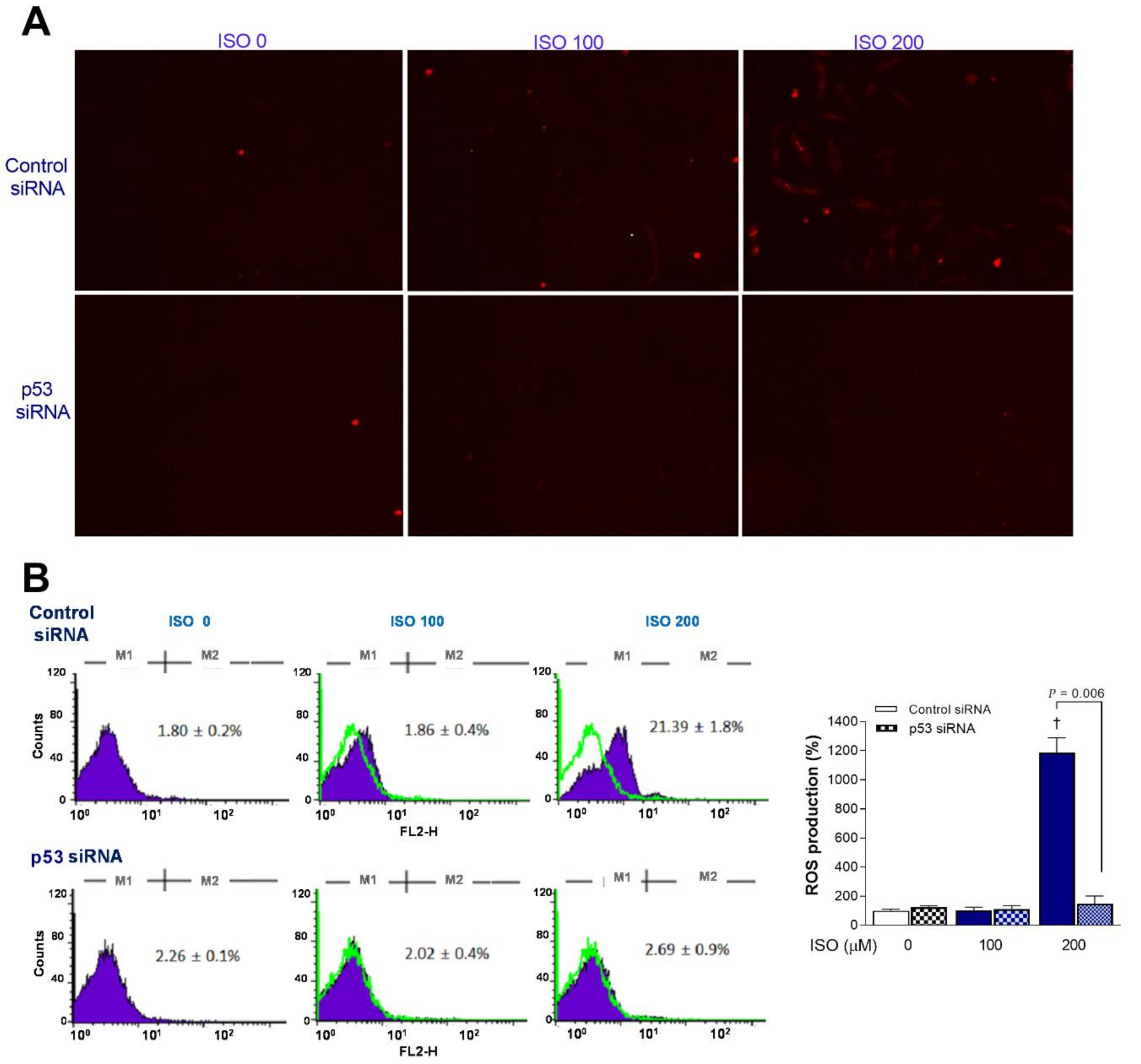Molecules 27 01346 g006 Molecules 27 01346 g006