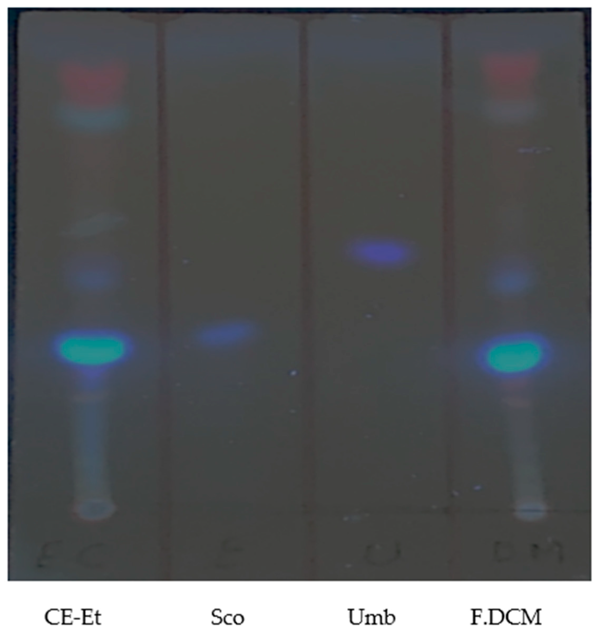 Molecules 27 01348 g003 Molecules 27 01348 g003