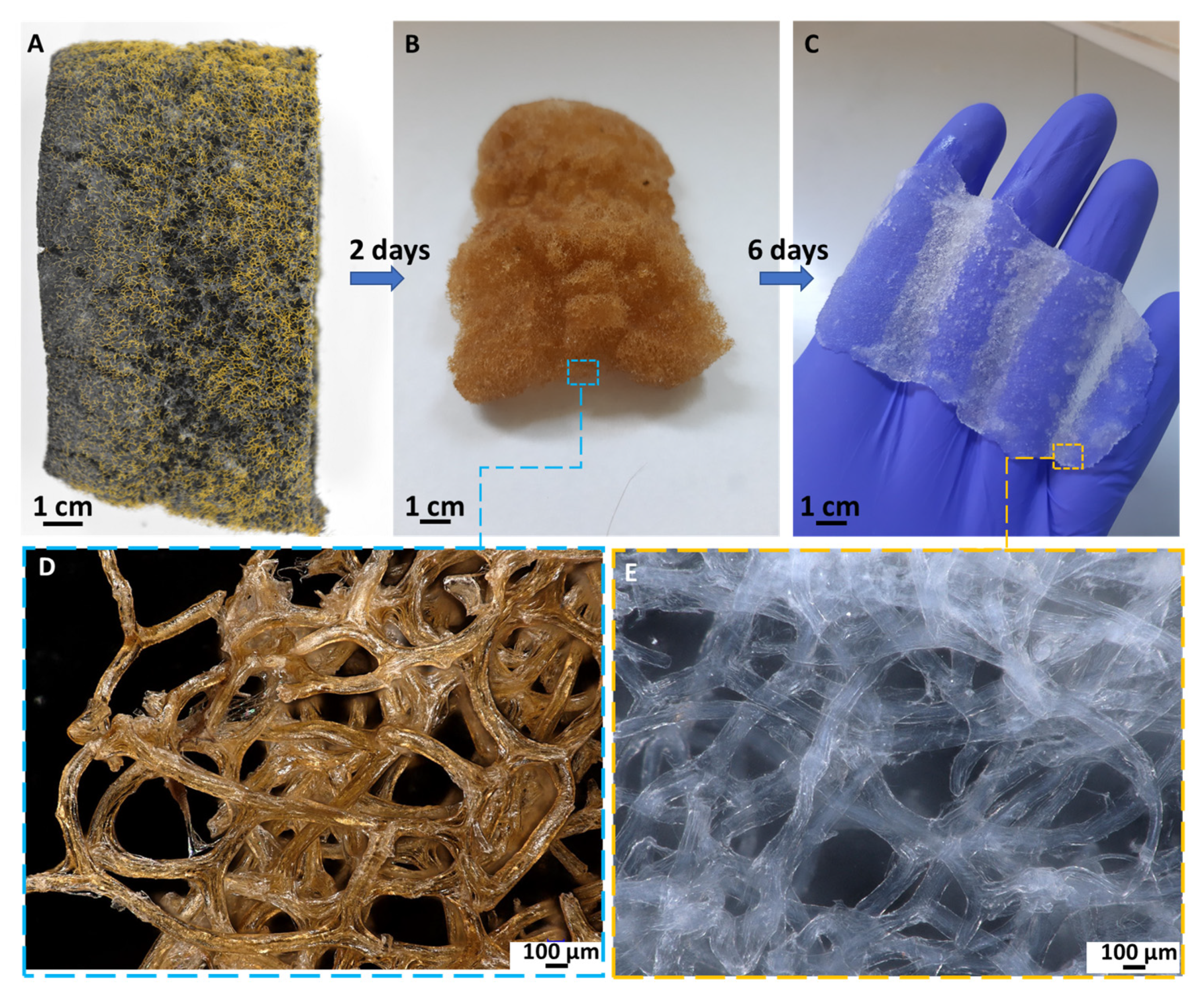 Molecules 27 01354 g001
