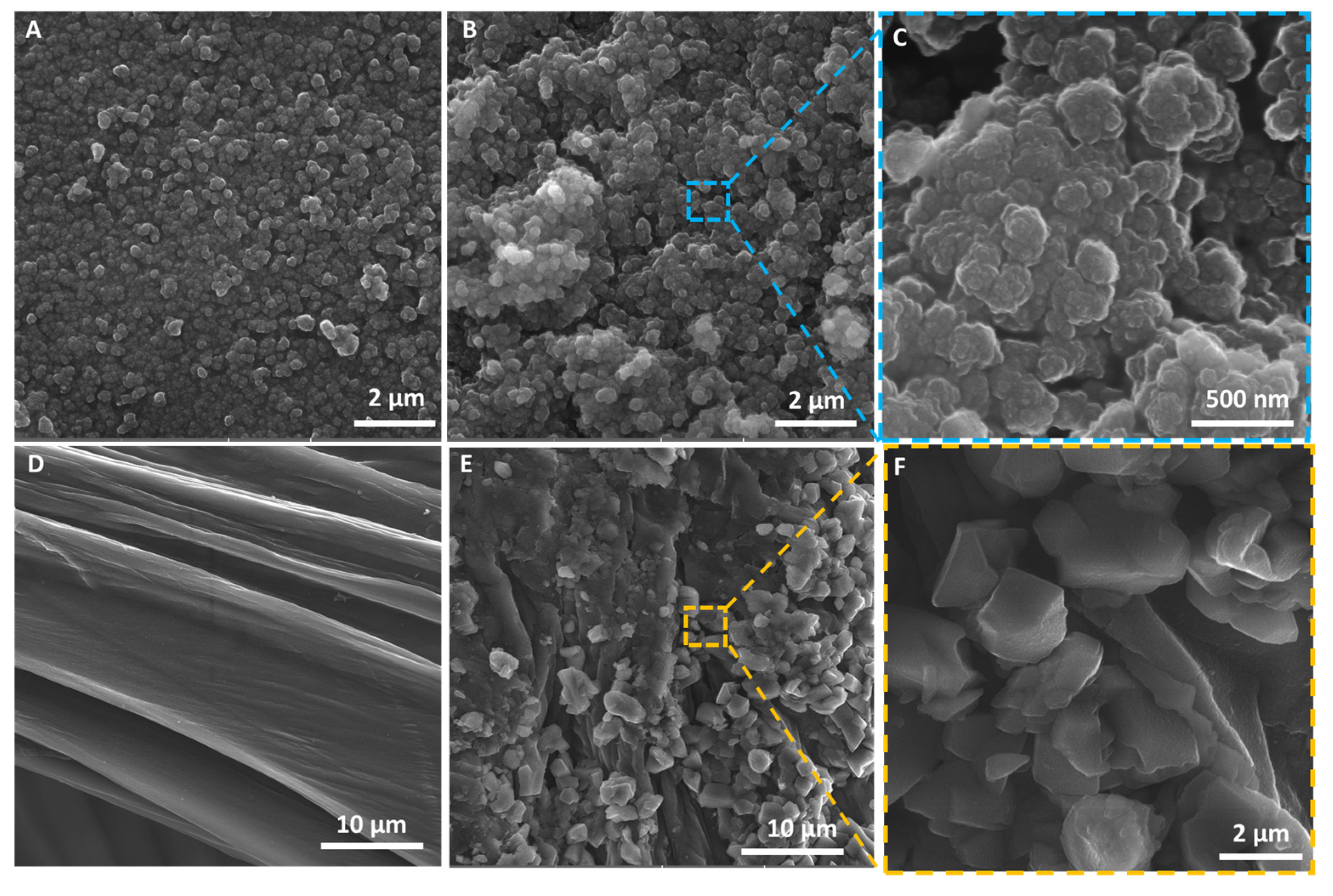 Molecules 27 01354 g002