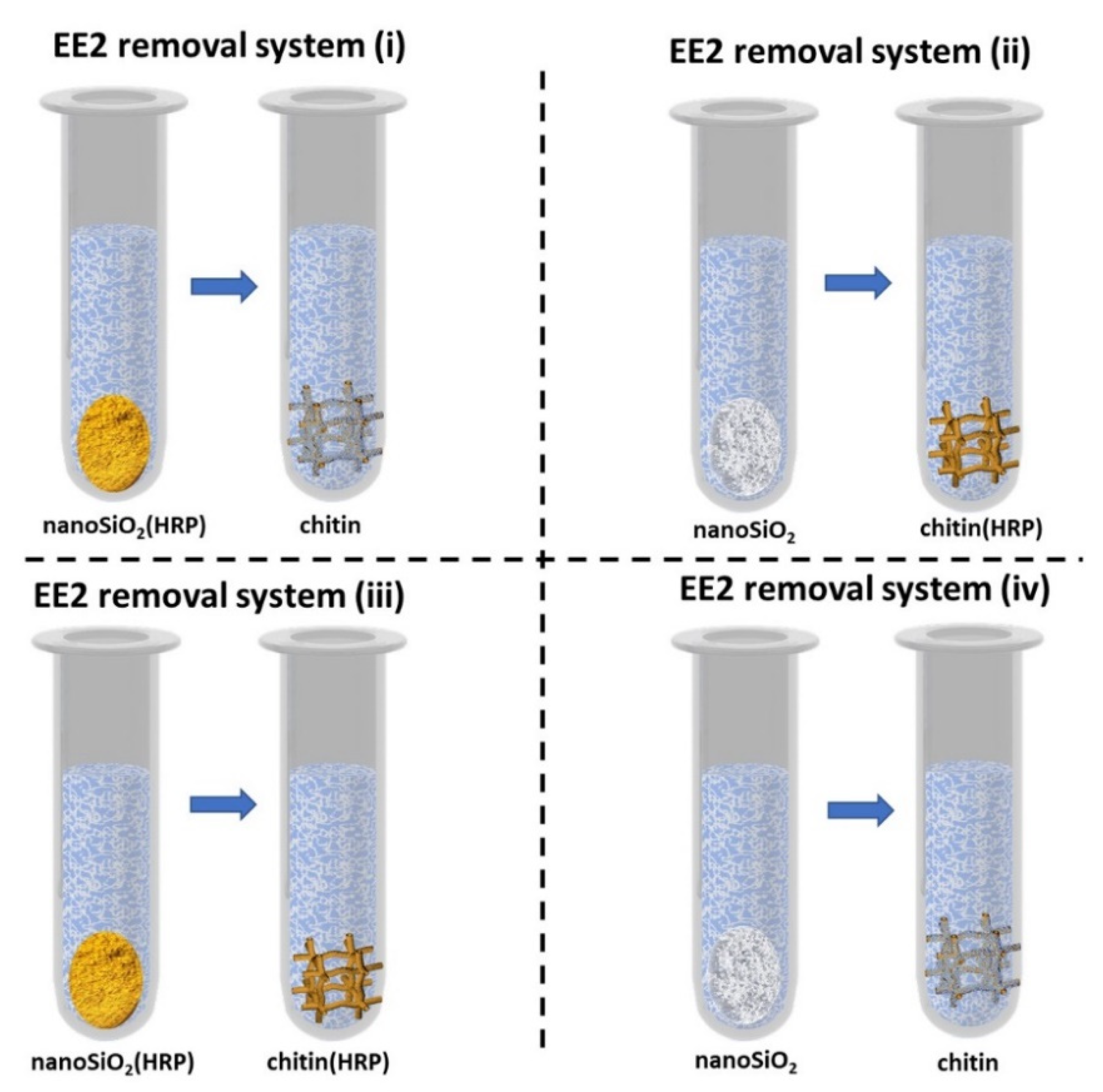 Molecules 27 01354 g010