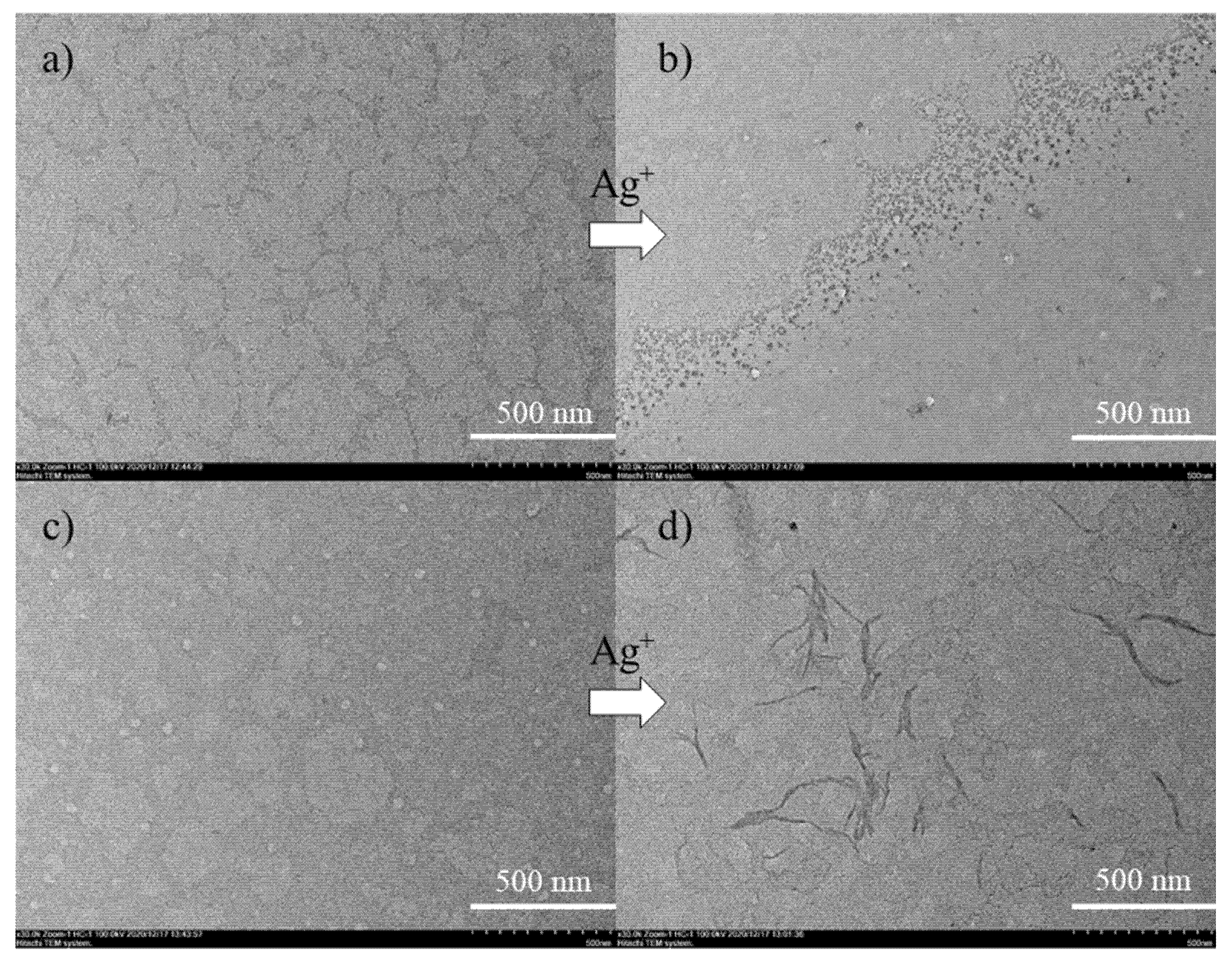 Molecules 27 01364 g001