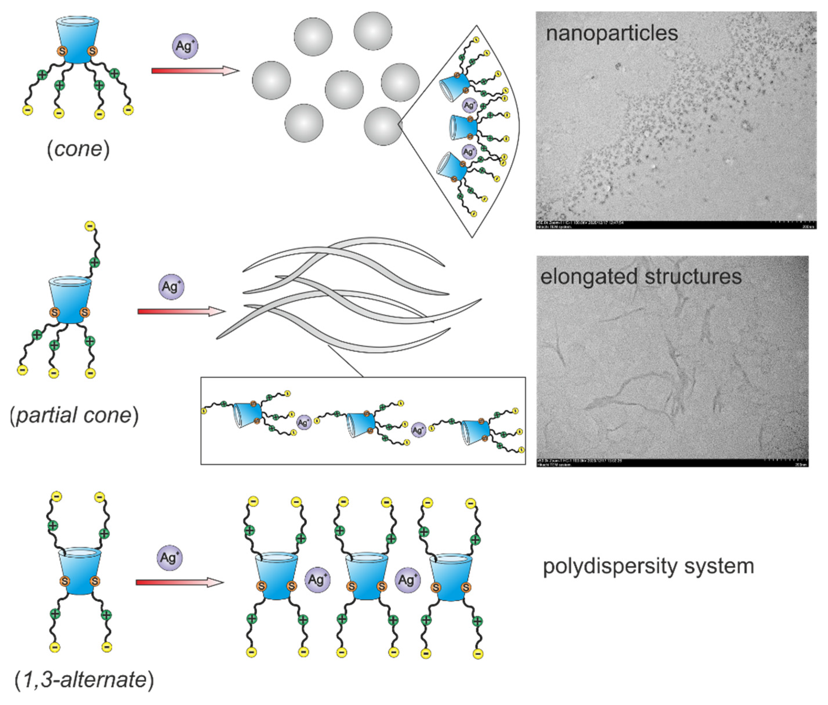 Molecules 27 01364 g004