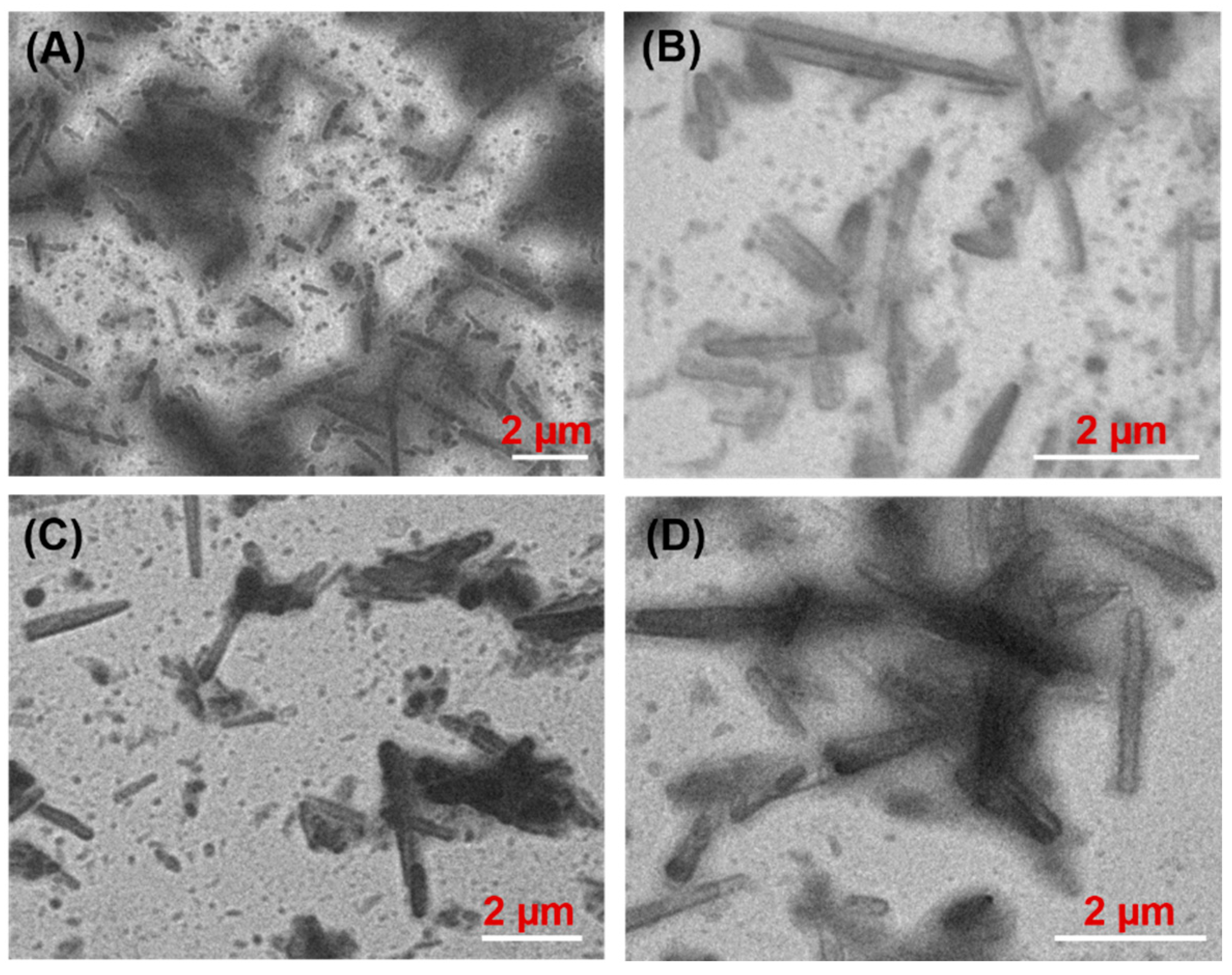 Molecules 27 01369 g005