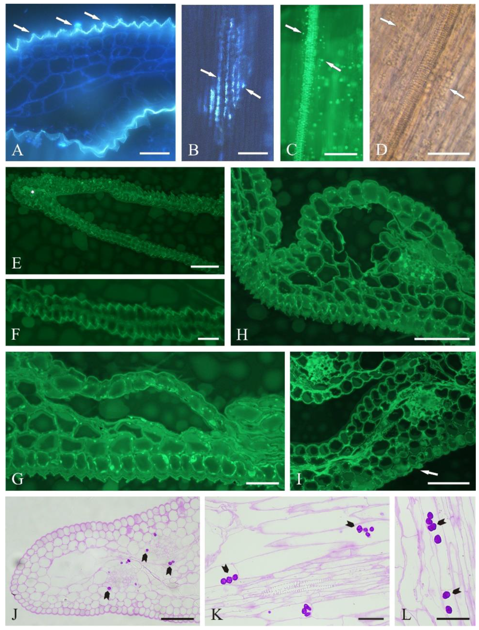 Molecules 27 01371 g002