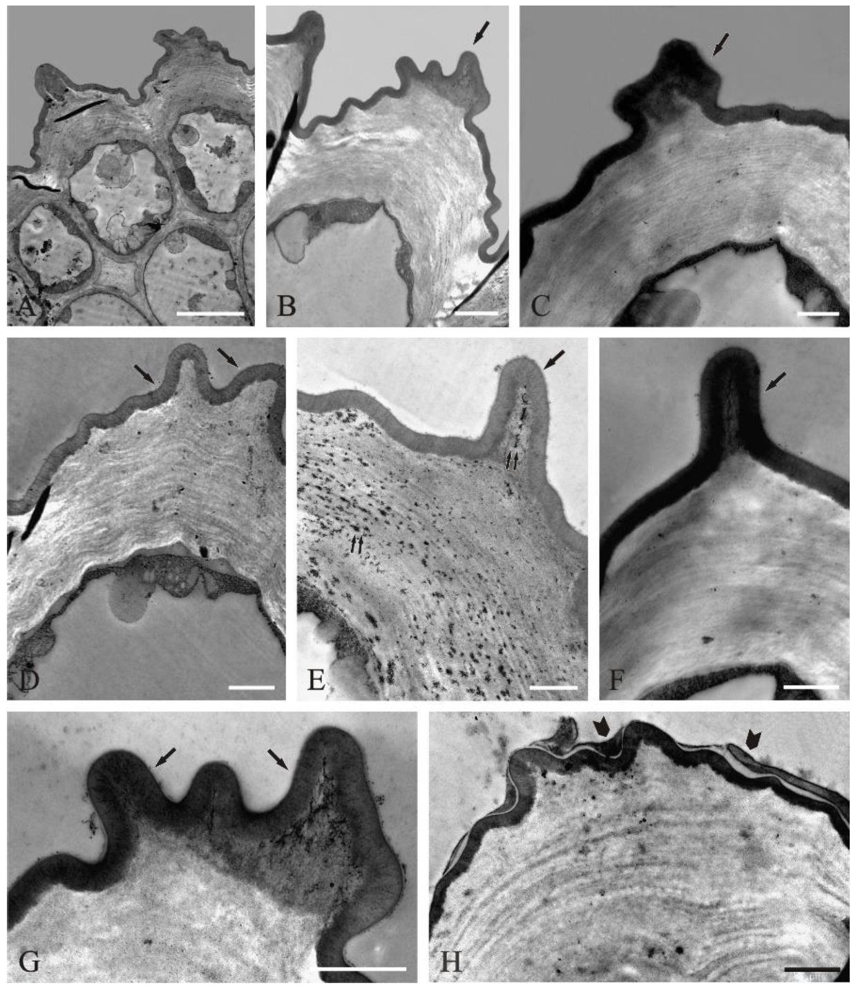 Molecules 27 01371 g003