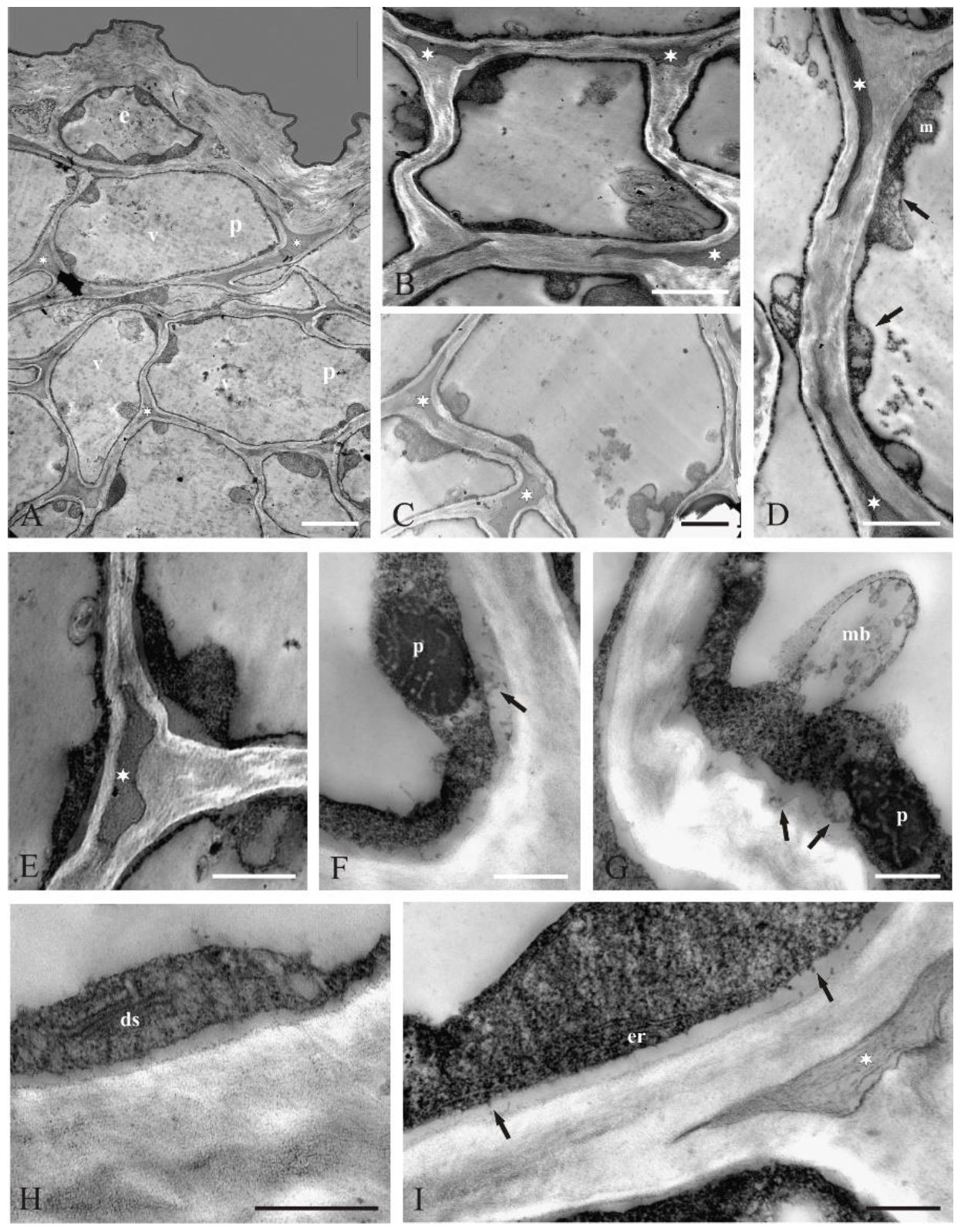 Molecules 27 01371 g004