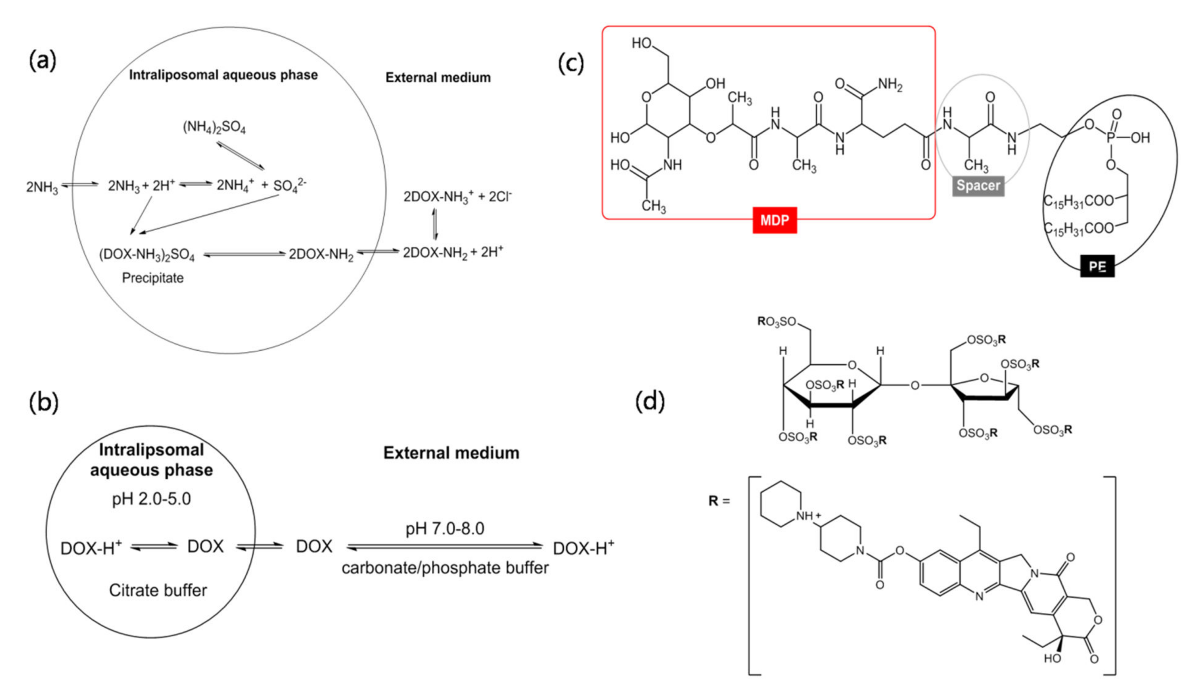 Molecules 27 01372 g004 Molecules 27 01372 g004