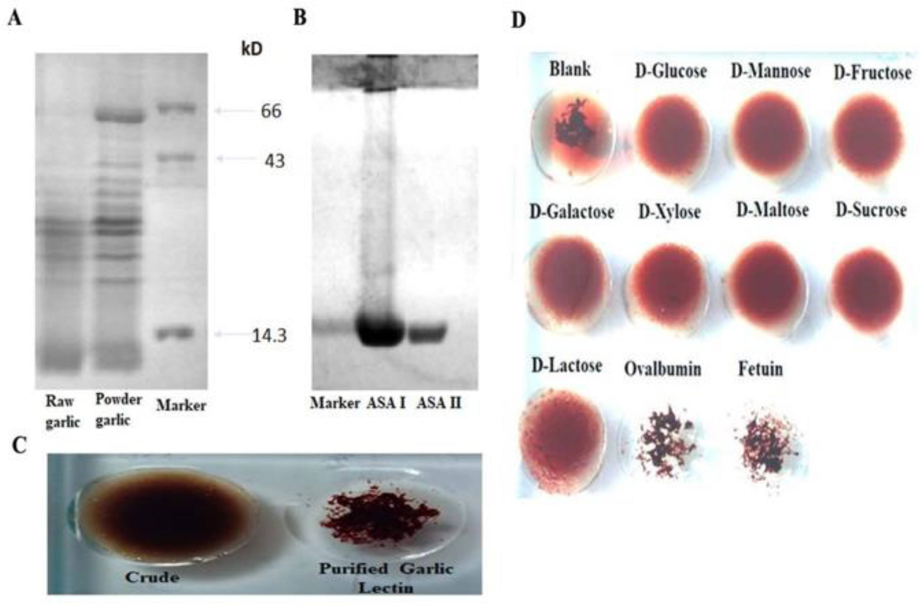 Molecules 27 01375 g001