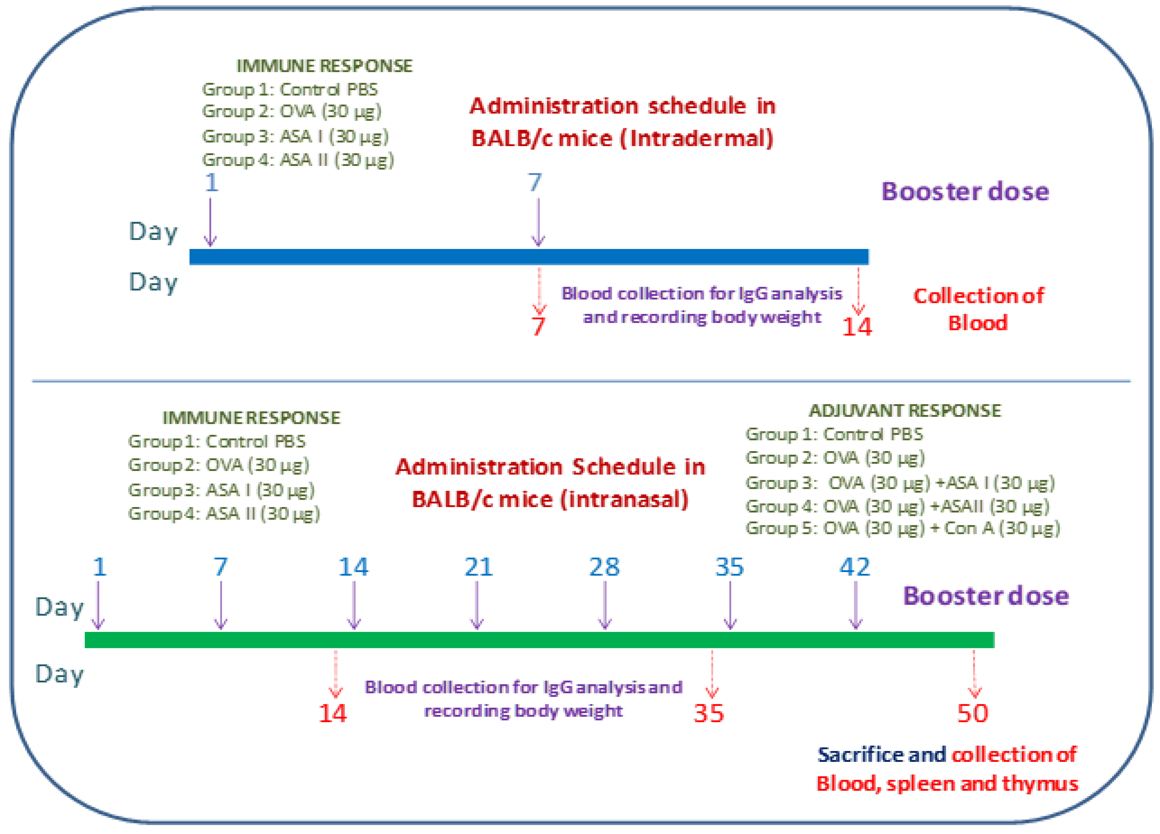 Molecules 27 01375 g002