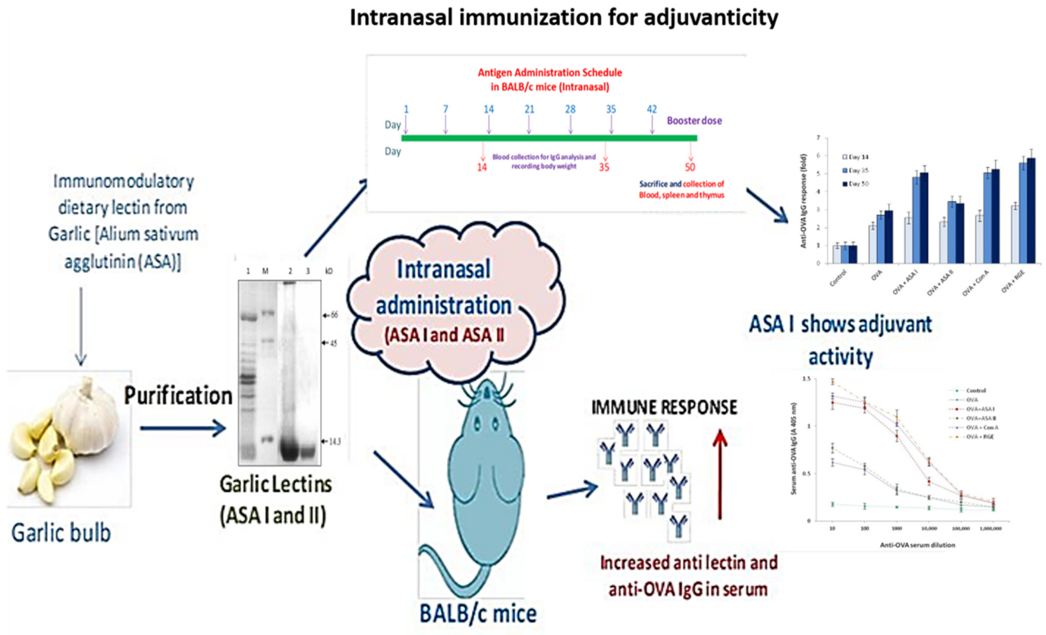 Molecules 27 01375 g008