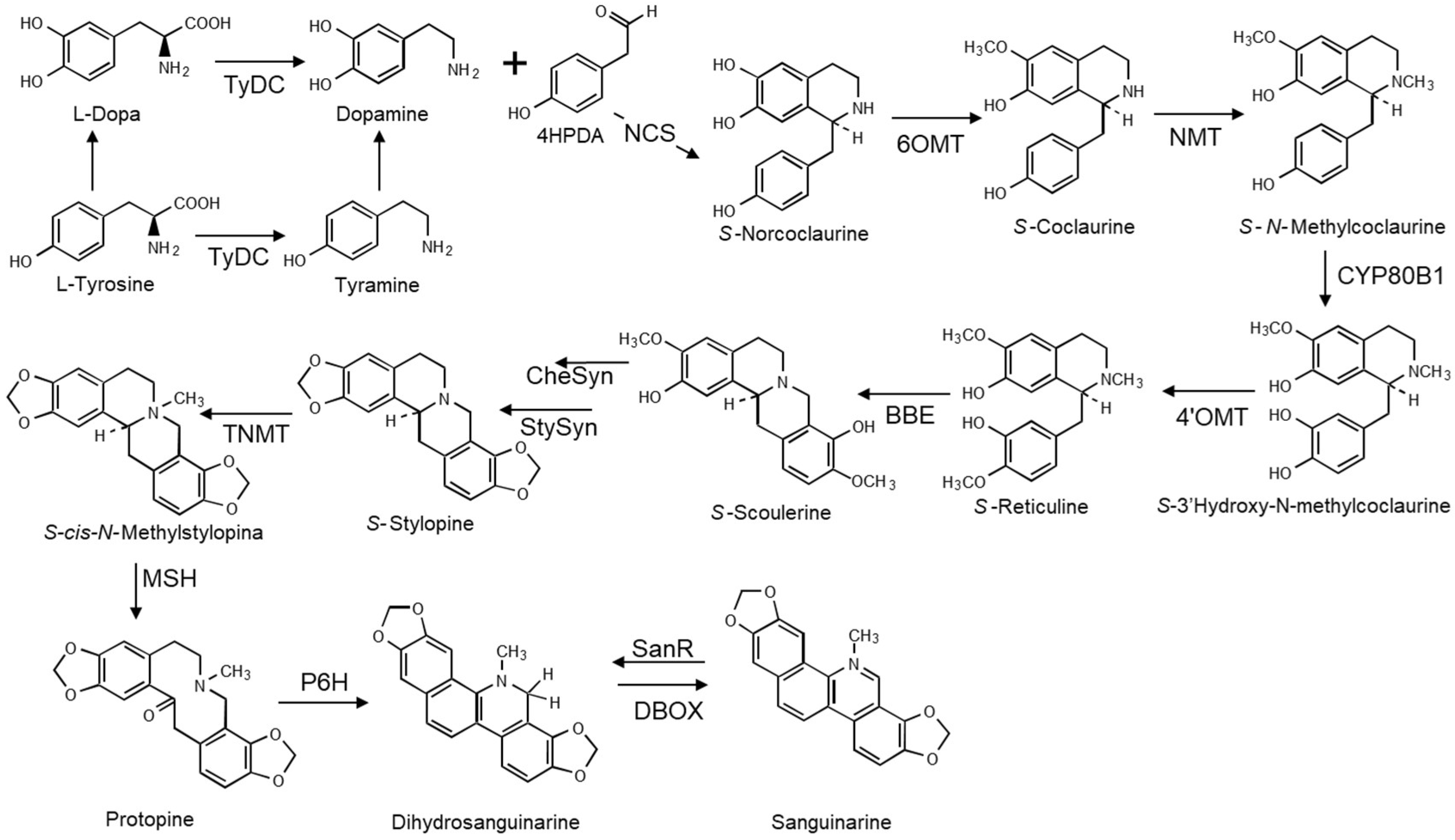 Molecules 27 01378 g003
