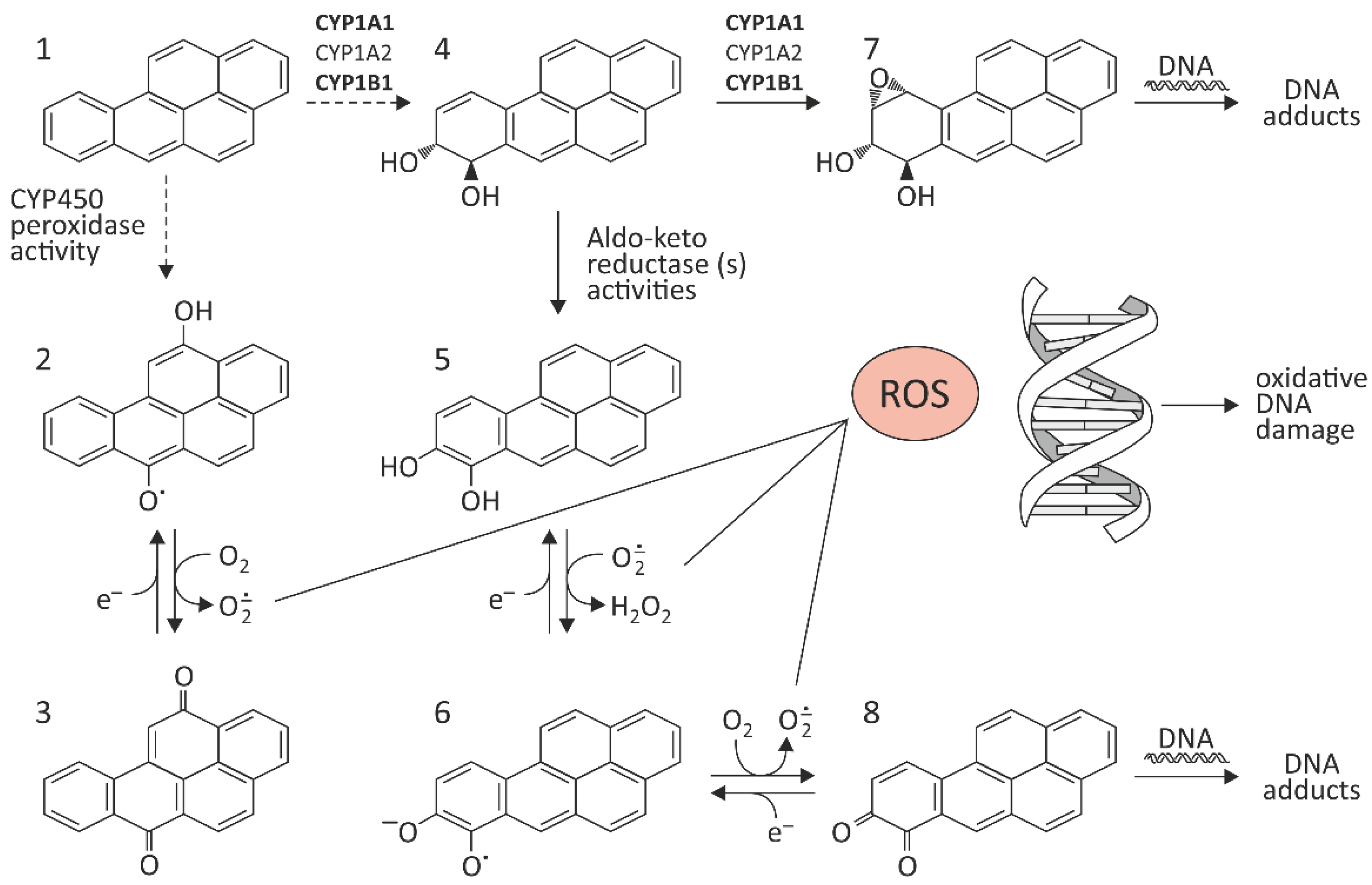 Molecules 27 01379 g001