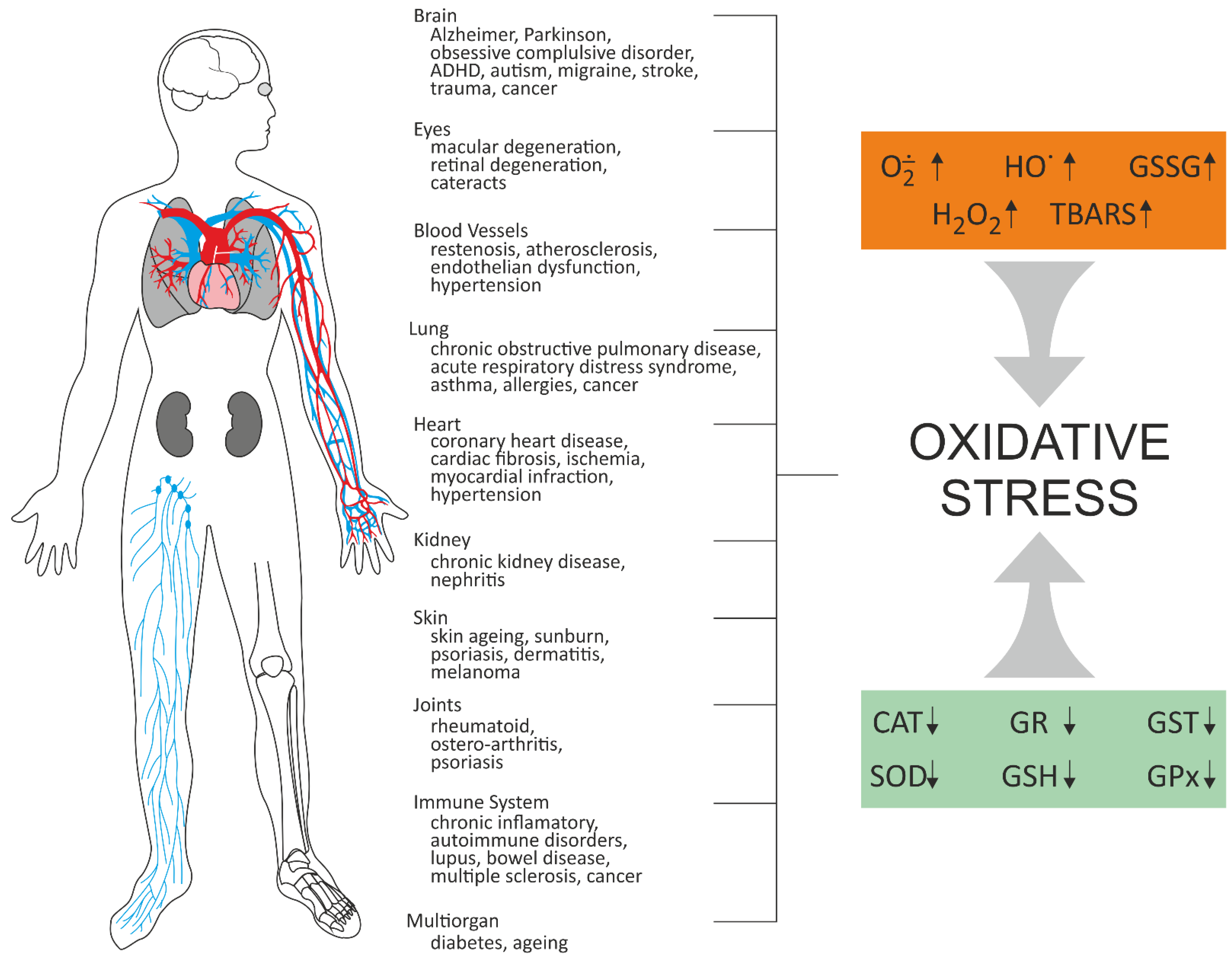 Molecules 27 01379 g002