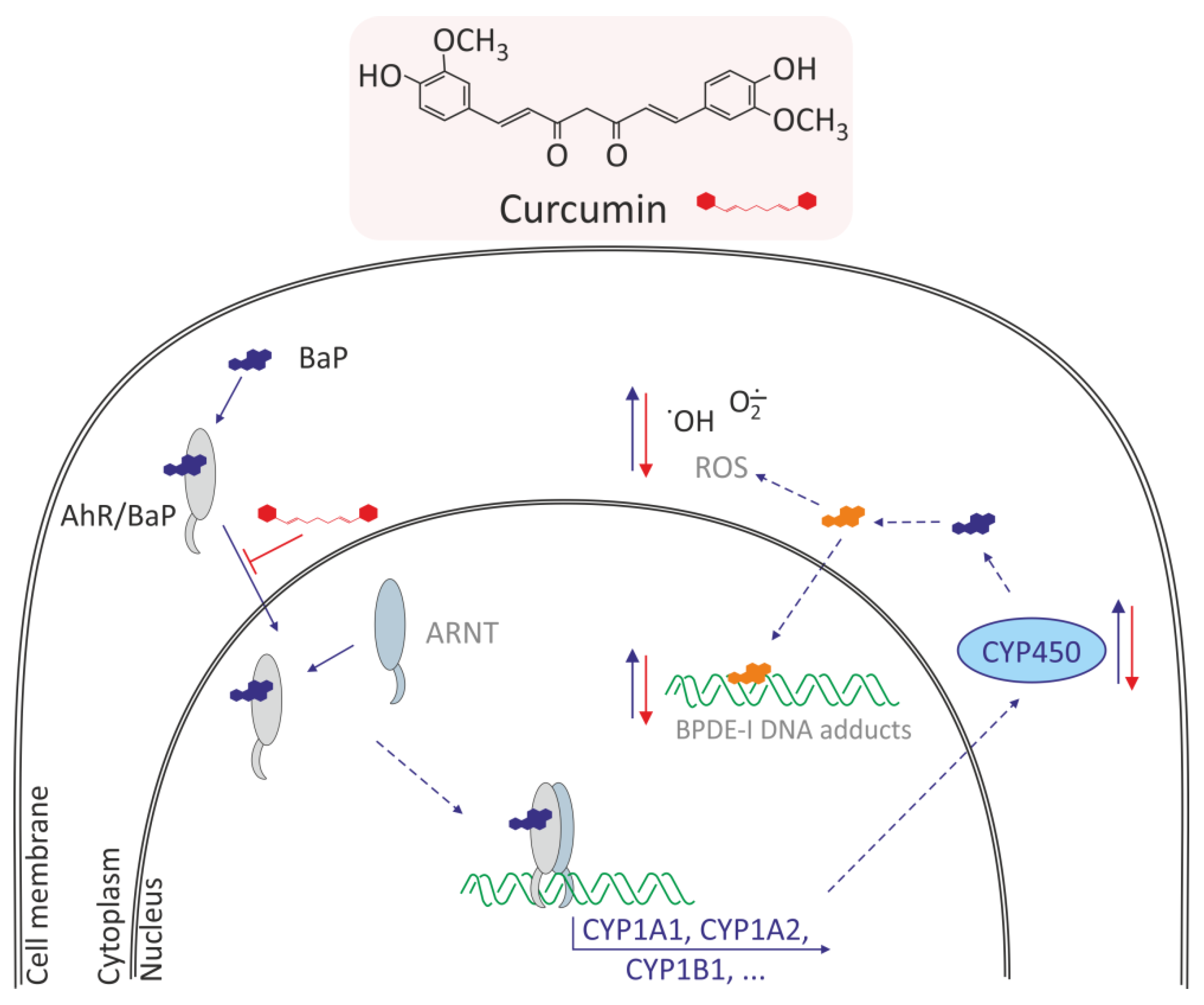 Molecules 27 01379 g003