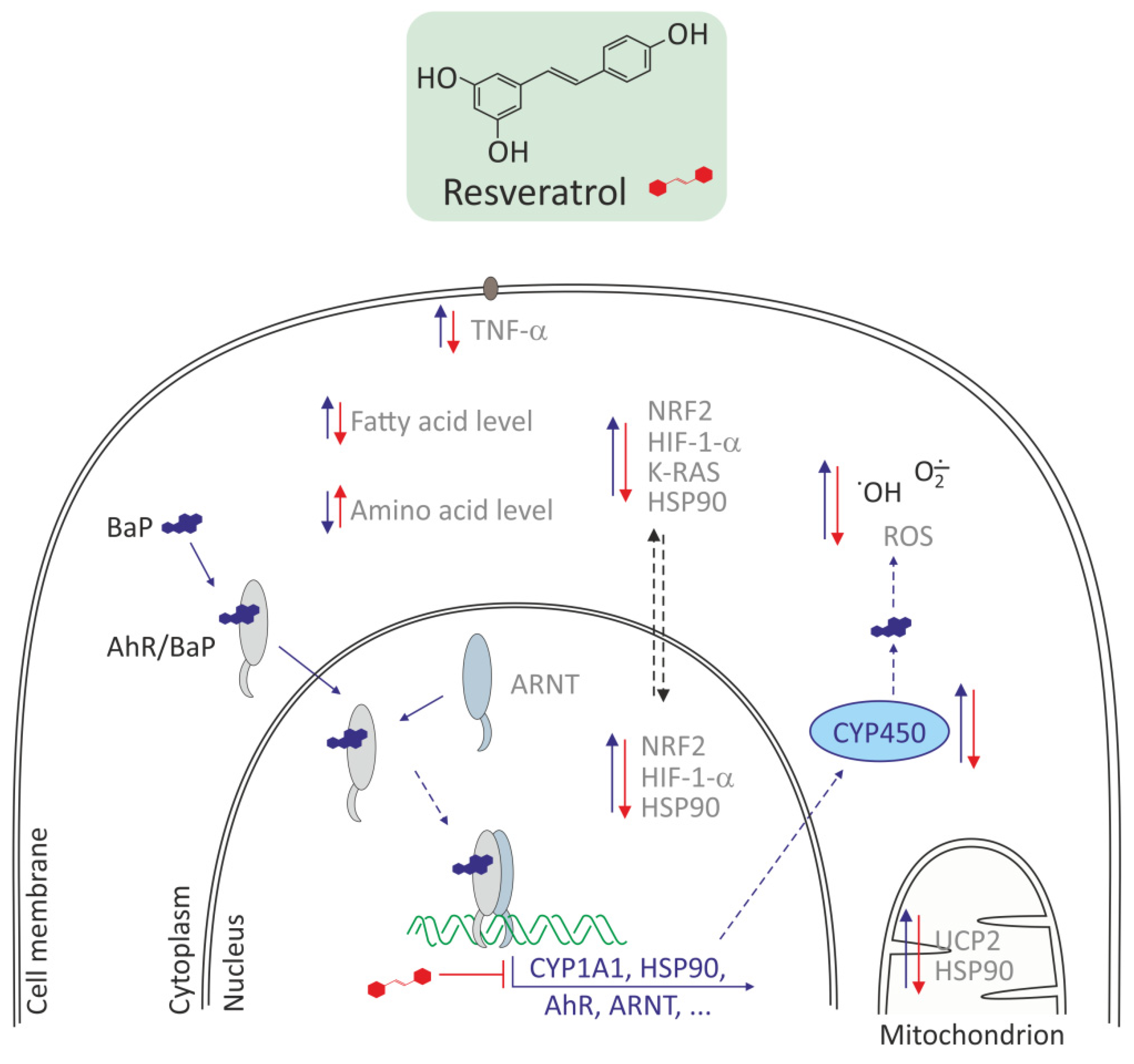 Molecules 27 01379 g004