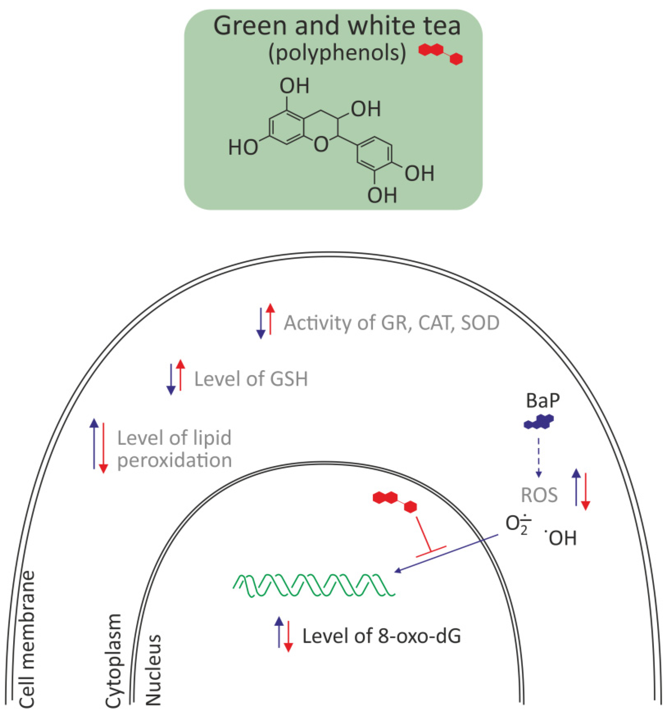 Molecules 27 01379 g005