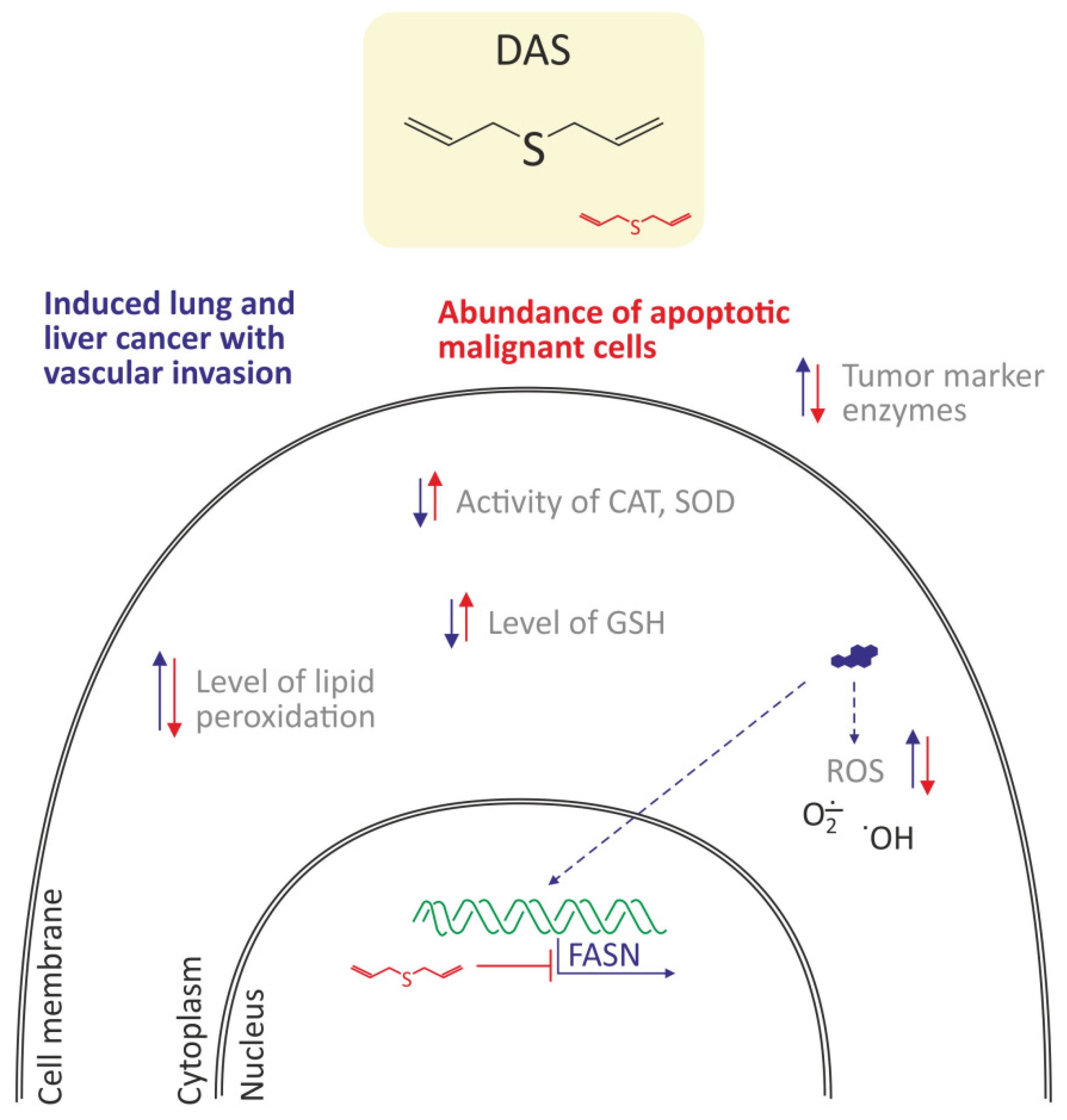 Molecules 27 01379 g006